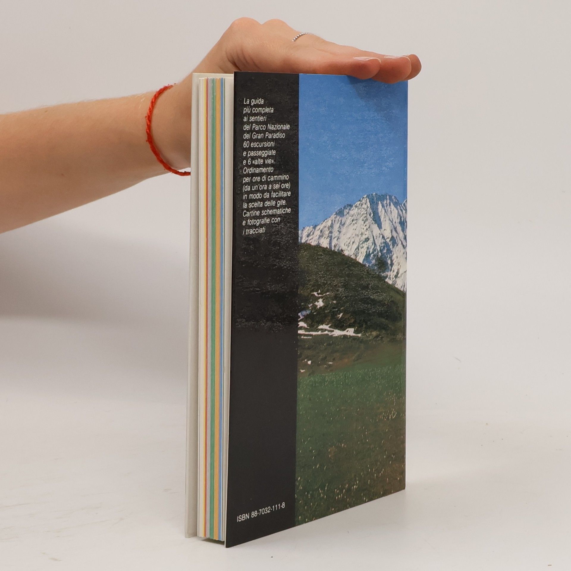 Franco Brevini Gran Paradiso. Itinerari escursionistici