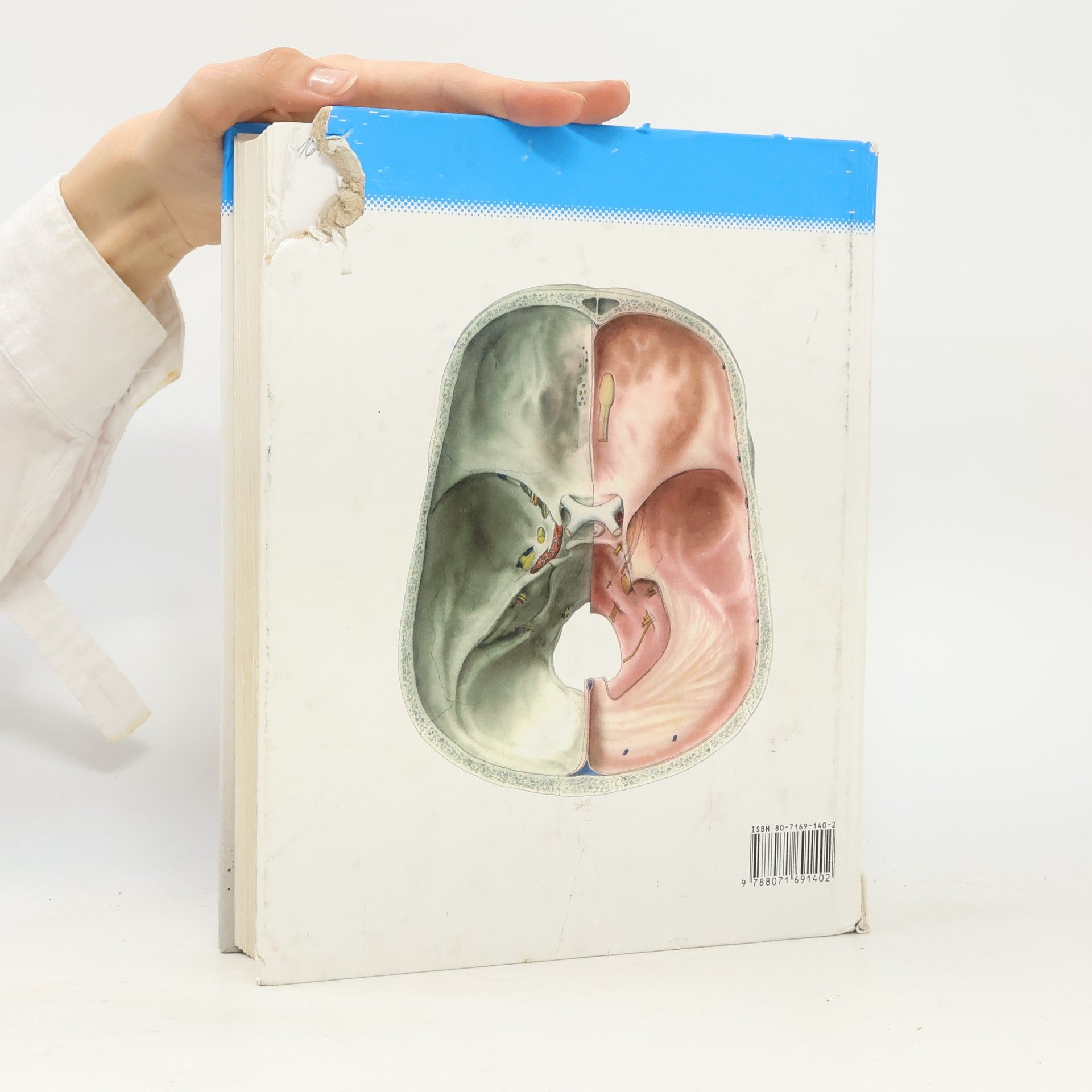Radomír Čihák Anatomie 3