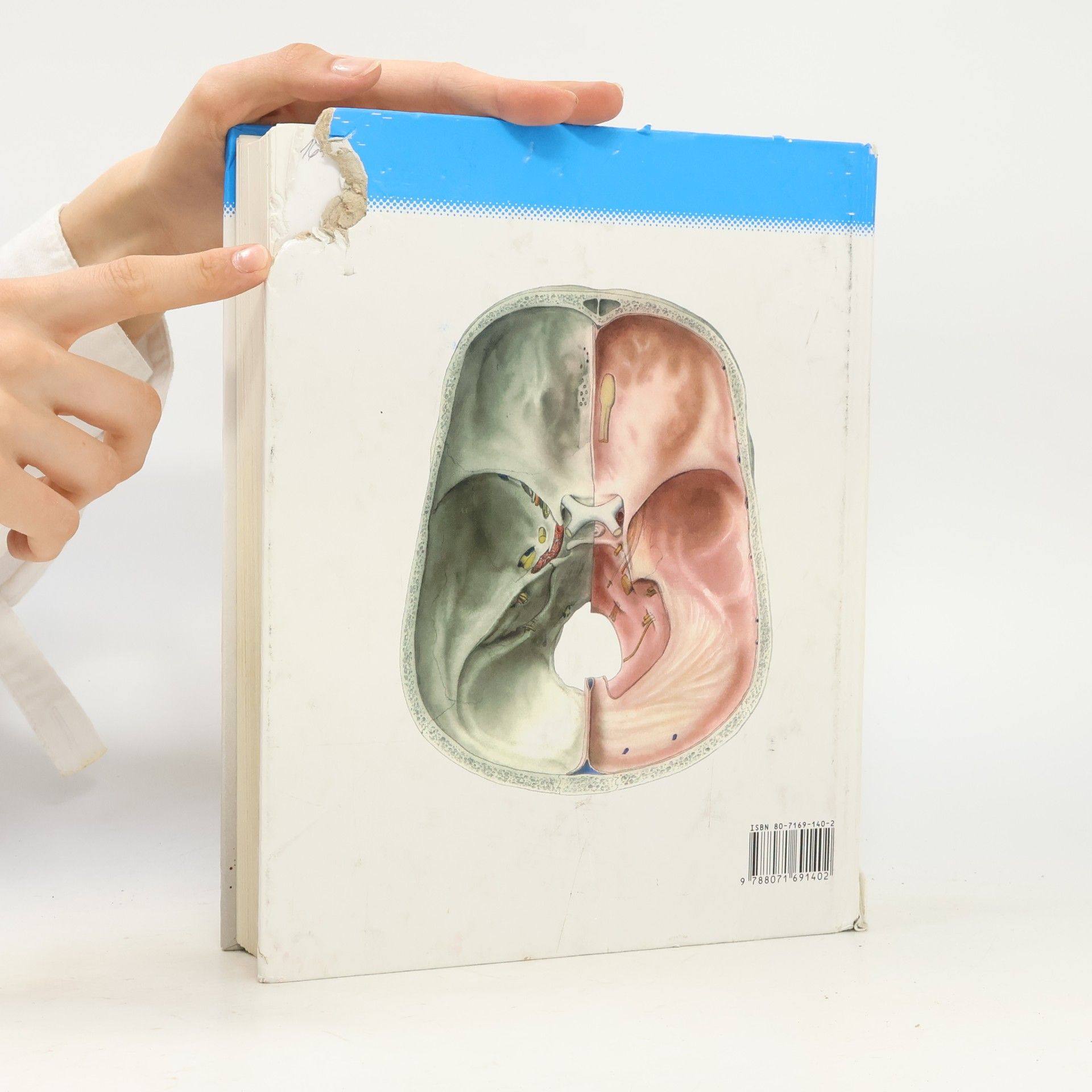 Radomír Čihák Anatomie 3