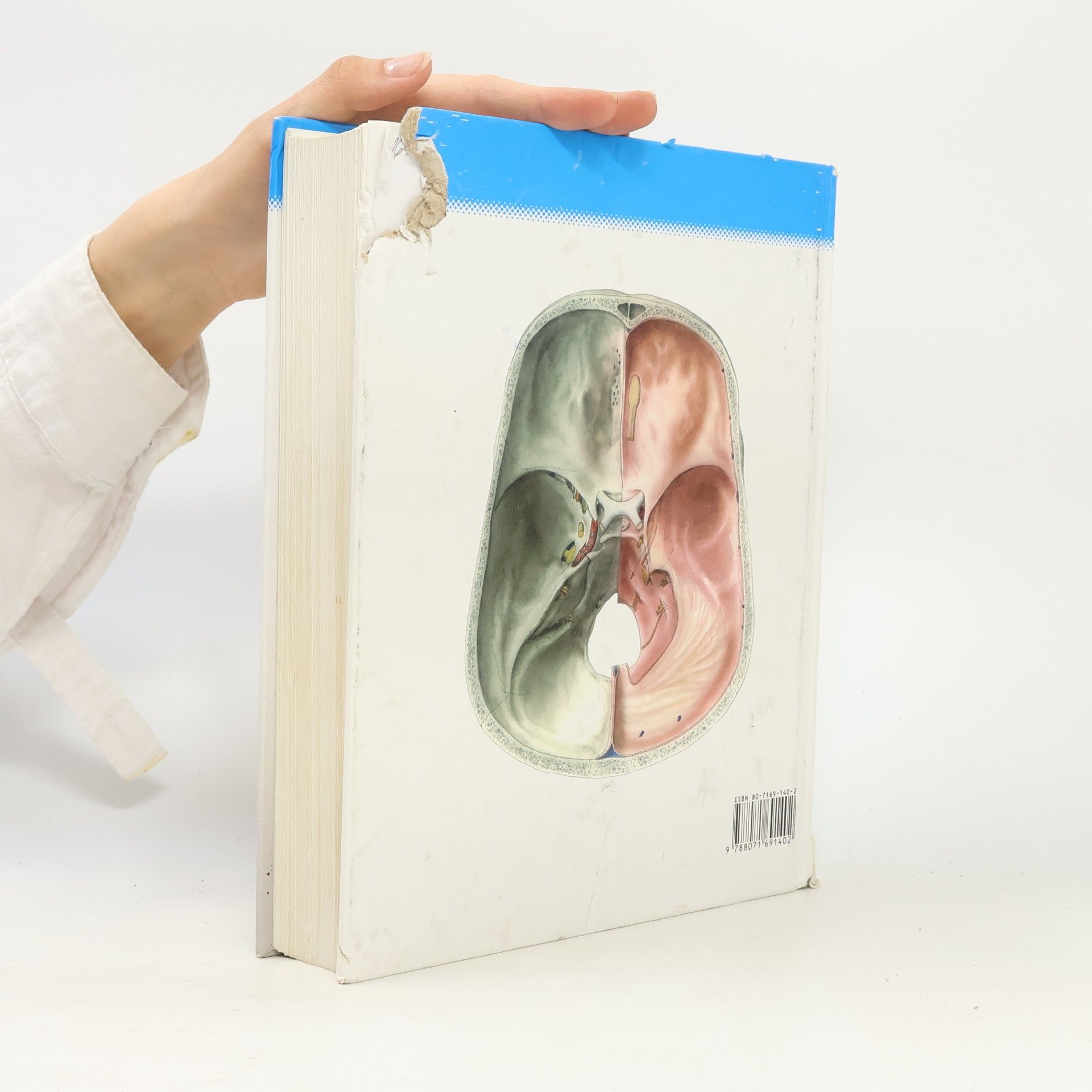Radomír Čihák Anatomie 3