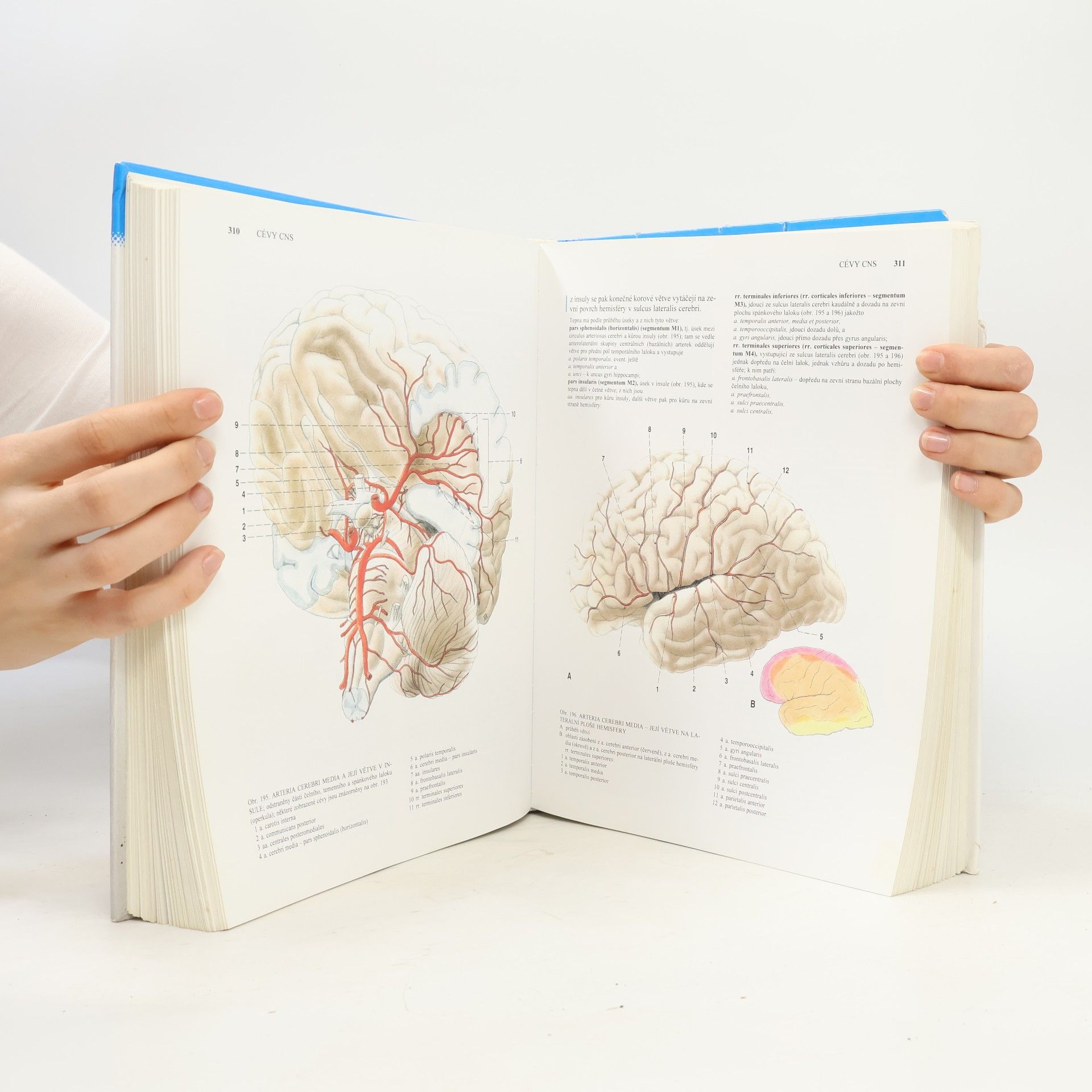 Radomír Čihák Anatomie 3