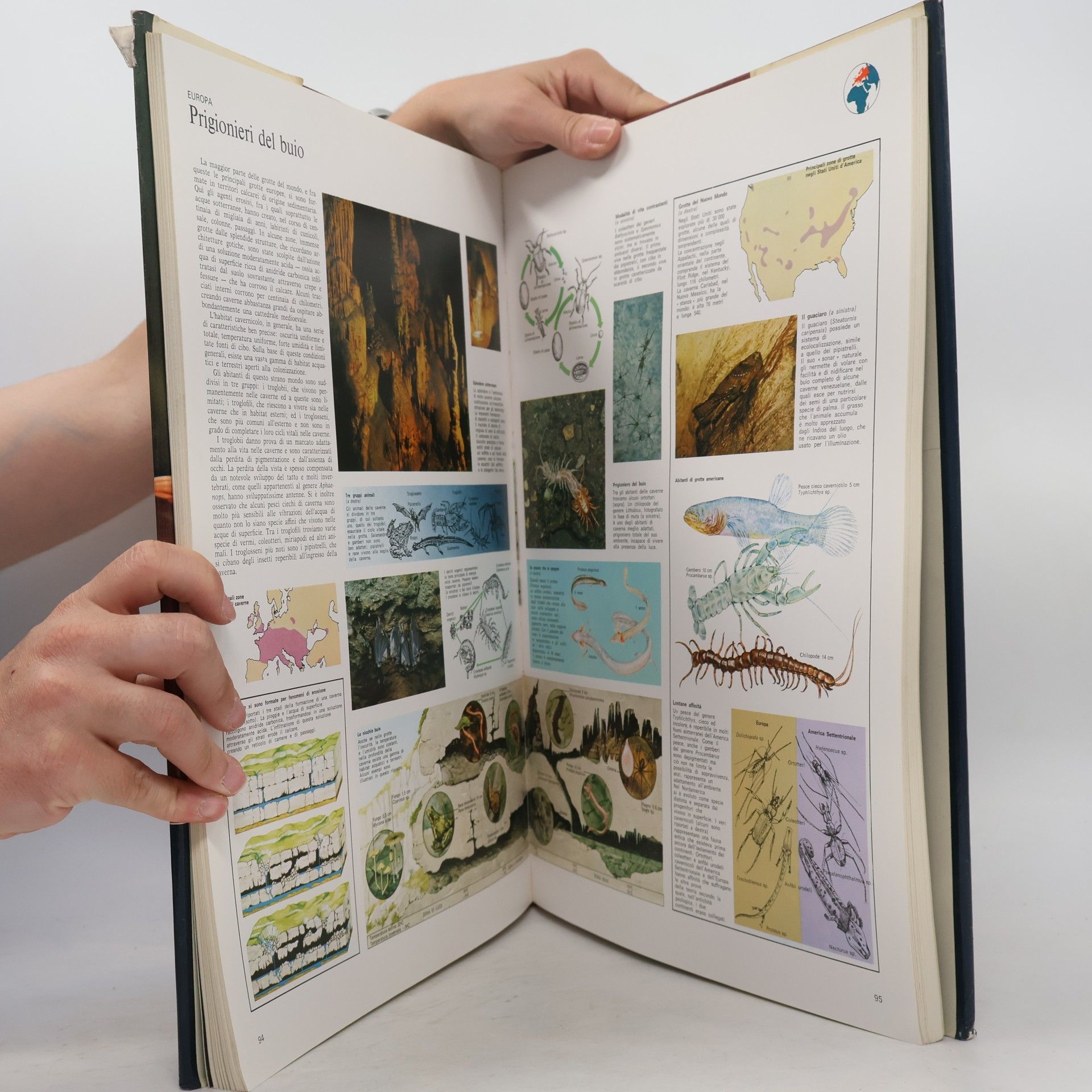 Anne Rooney Il grande atlante degli animali. Informazioni sorprendenti, mappe da esplorare e alette da sollevare