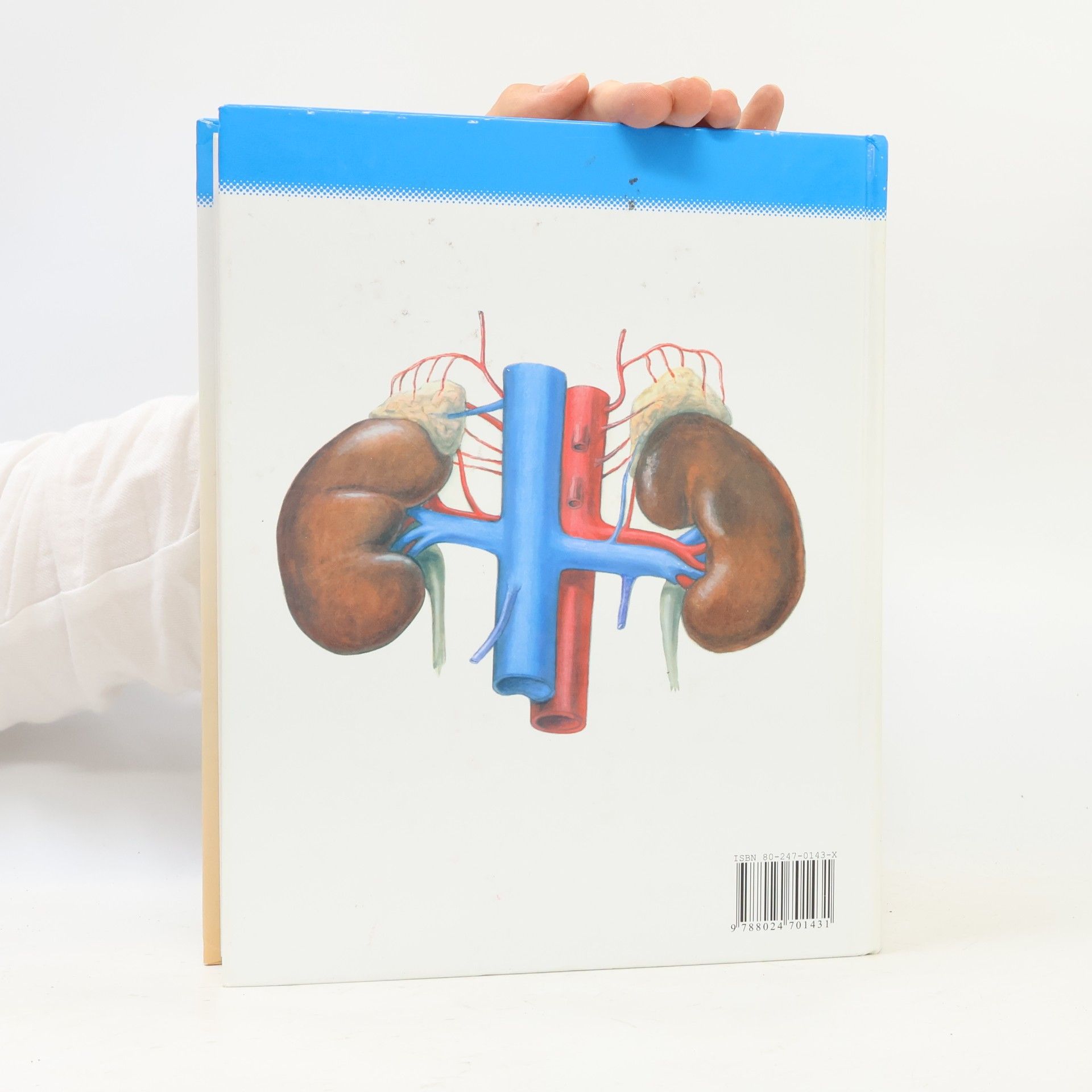 Radomír Čihák Anatomie 2