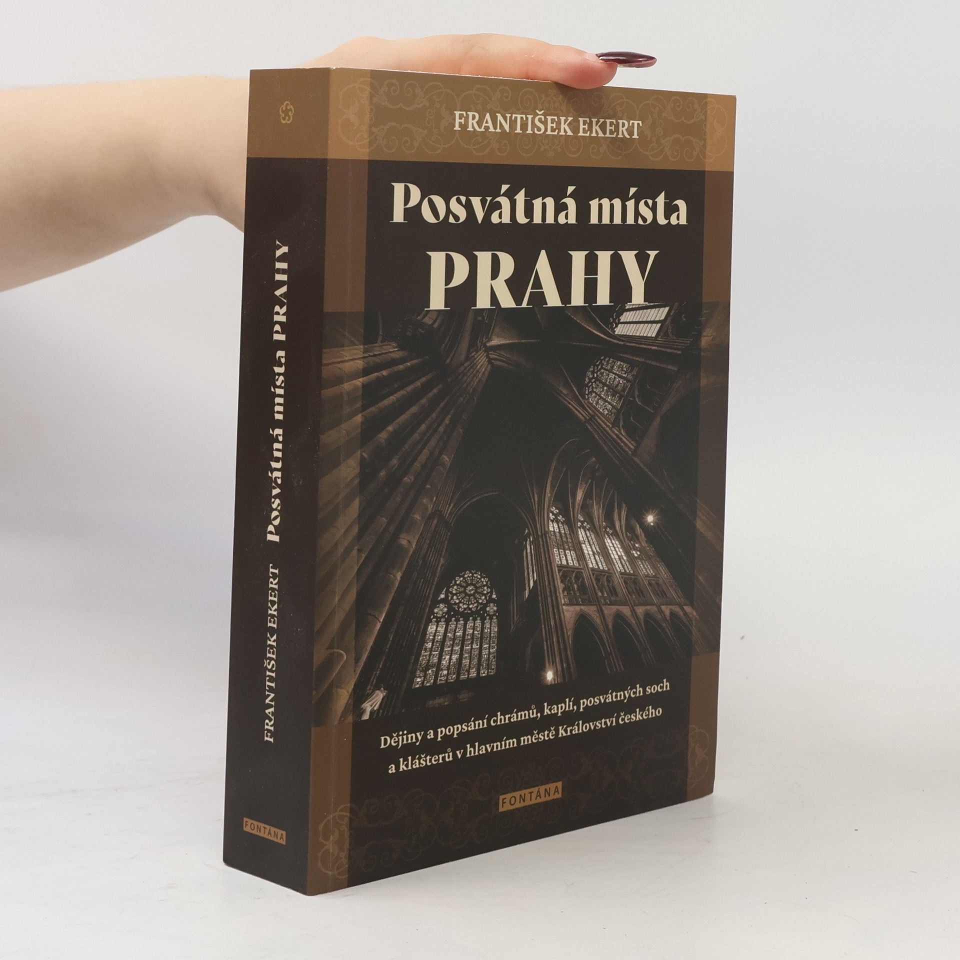 Posvátná místa Prahy - Dějiny a popsání chrámů, kaplí, posvátných soch a klášterů v hlavním městě Království českého