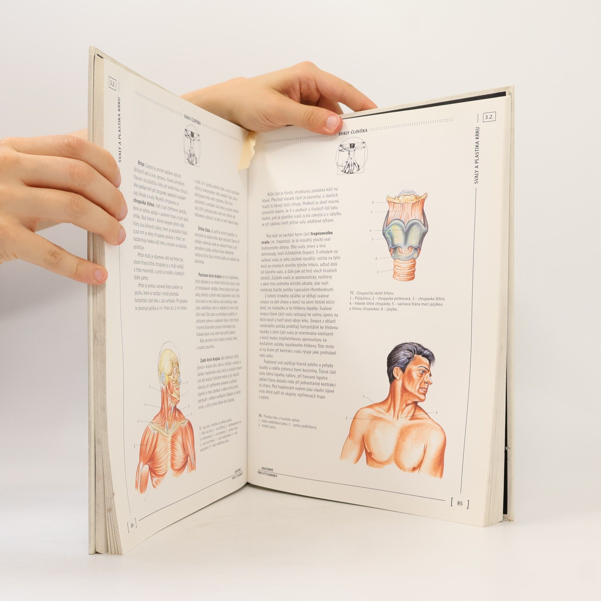 Jaroslav Kos Anatomie člověka pro výtvarníky