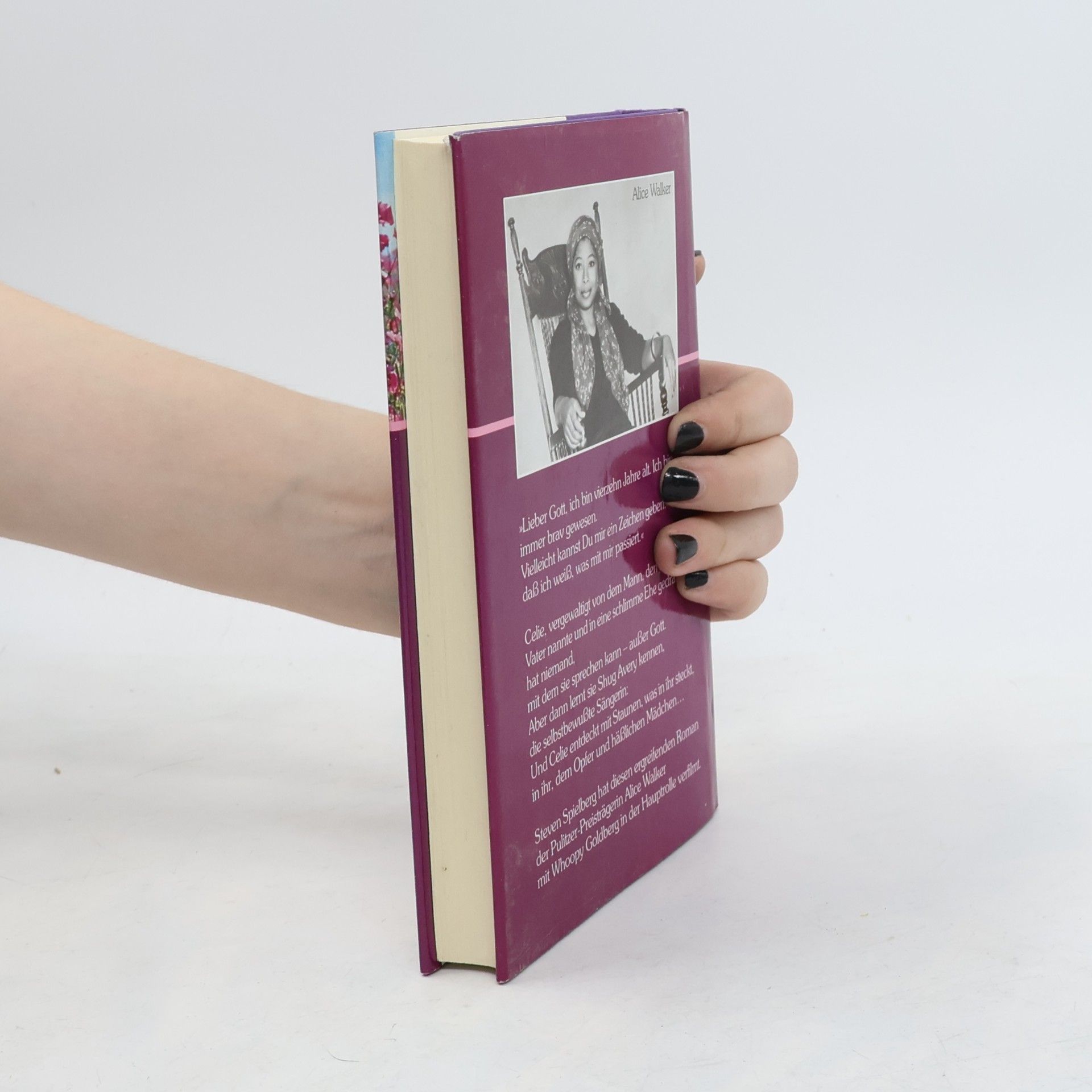 Alice Walker Die Farbe Lila