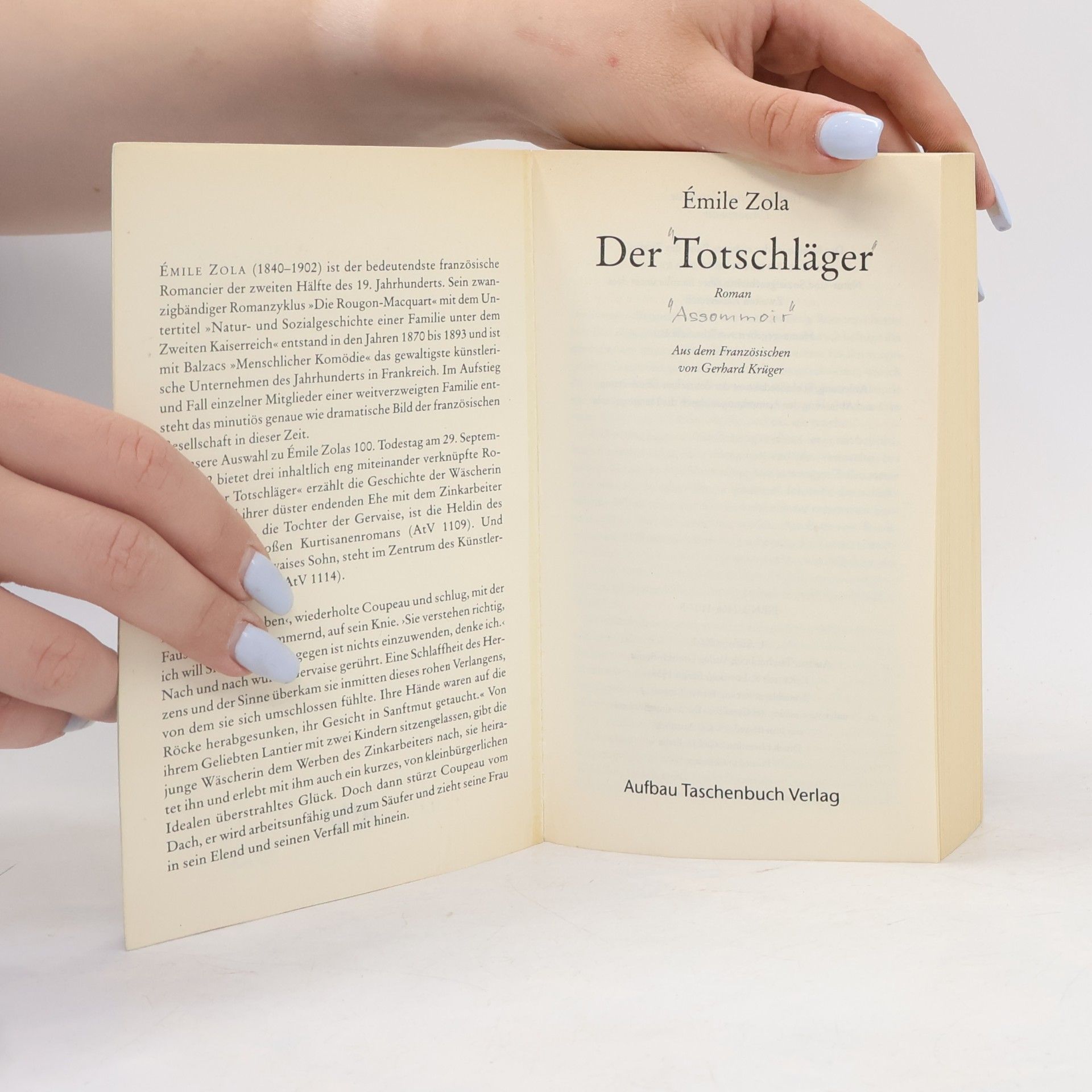 Émile Zola Der Totschläger