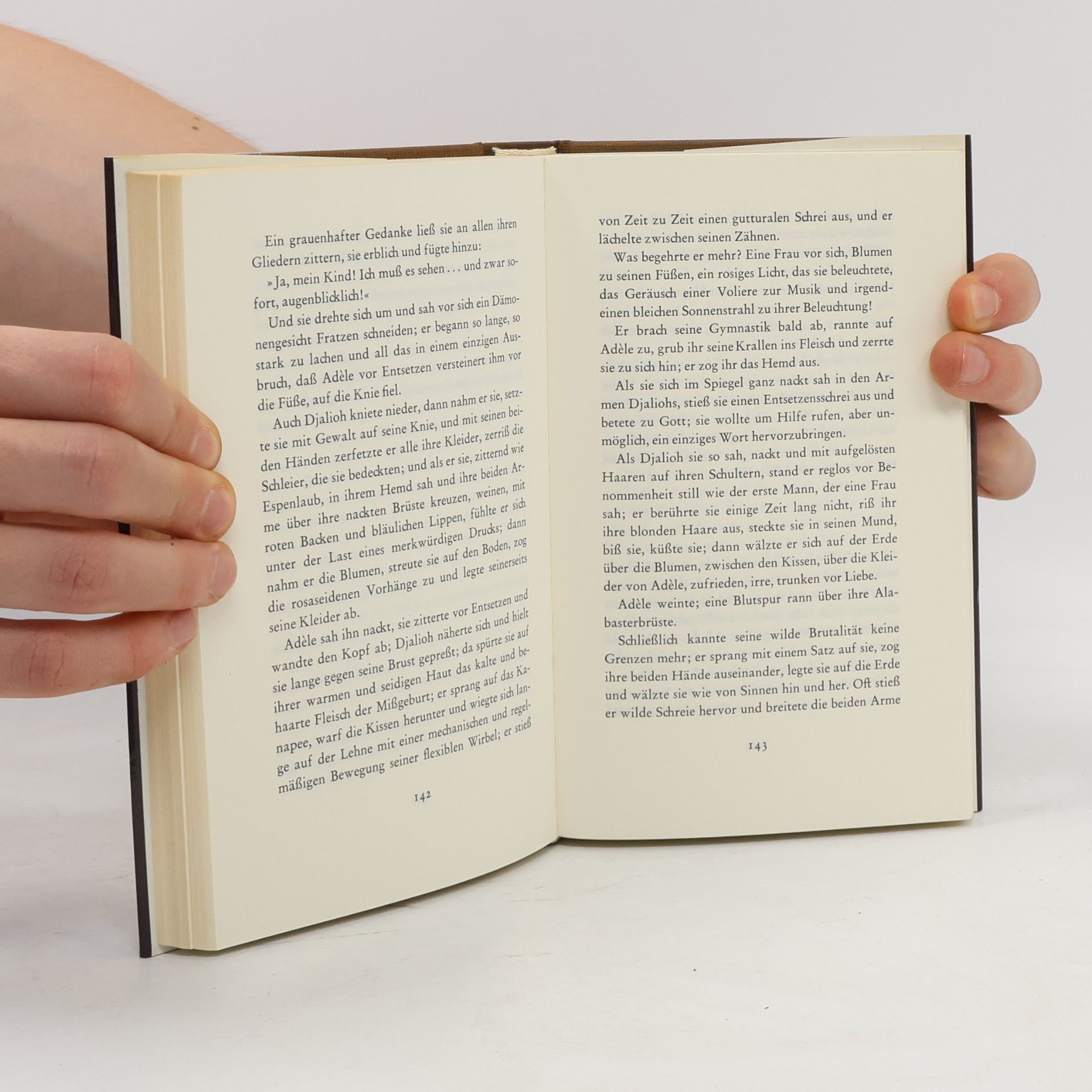 Gustave Flaubert Jugendwerke 1