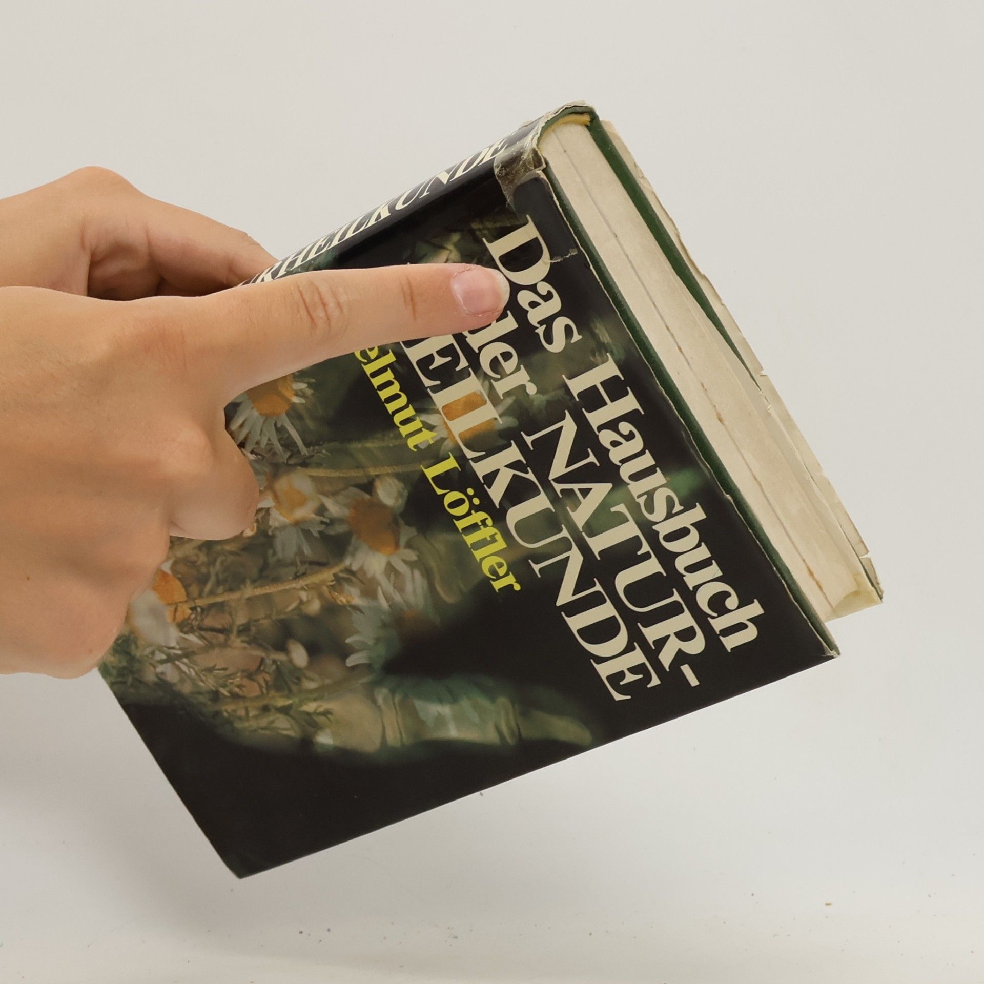 Helmut Löffler Das Hausbuch der Naturheilkunde