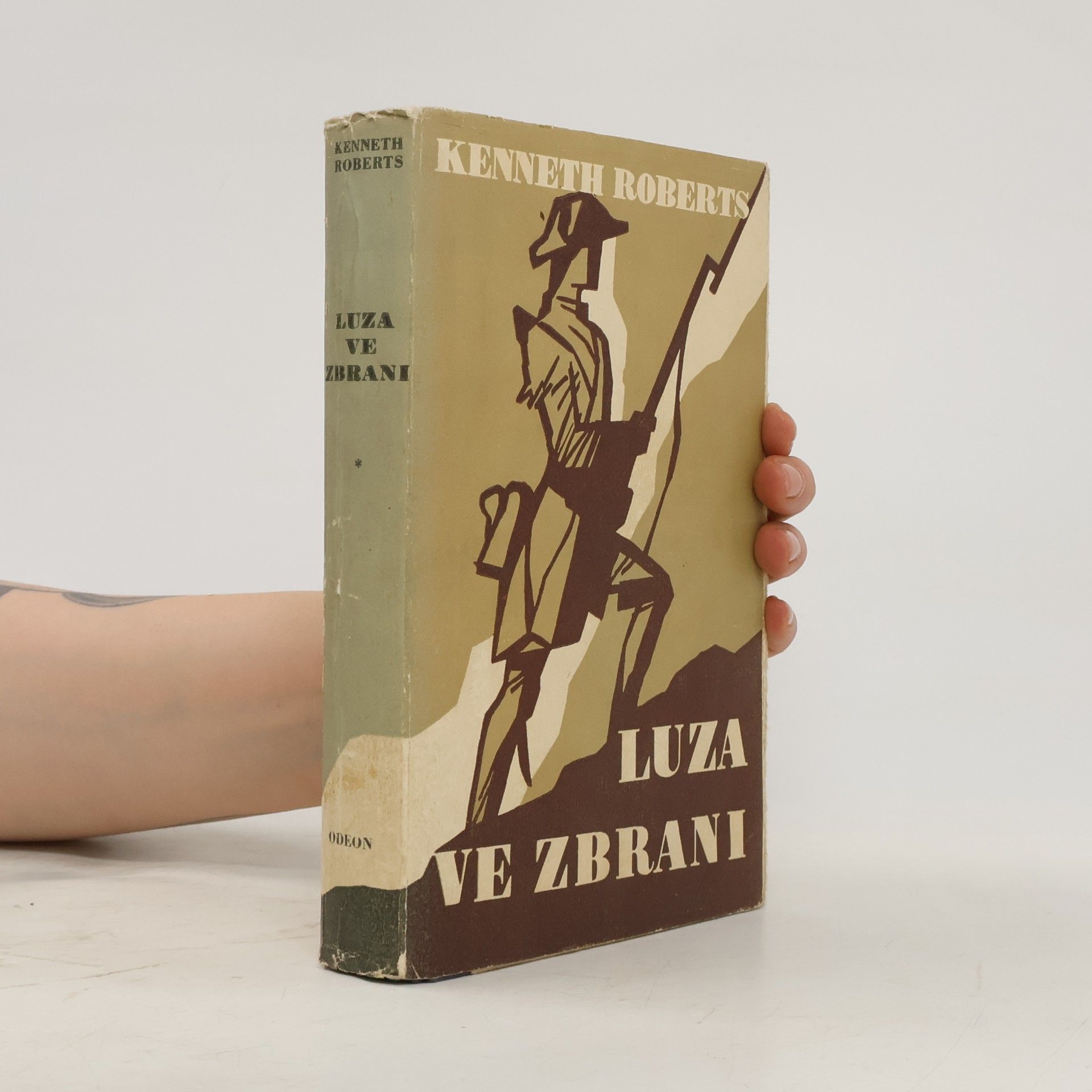 Luza ve zbrani