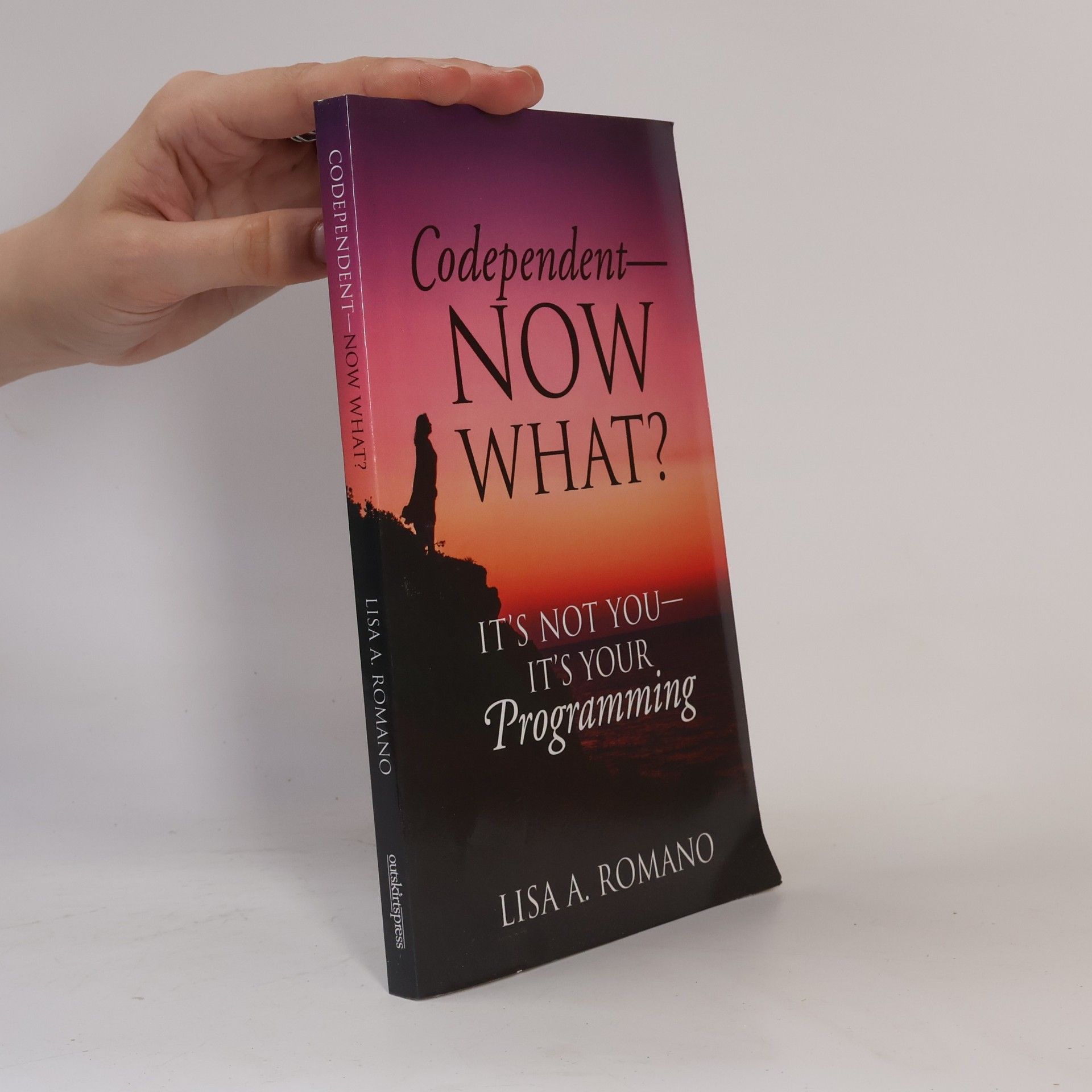 Lisa A. Romano Codependent - Now What? Its Not You - Its Your Programming