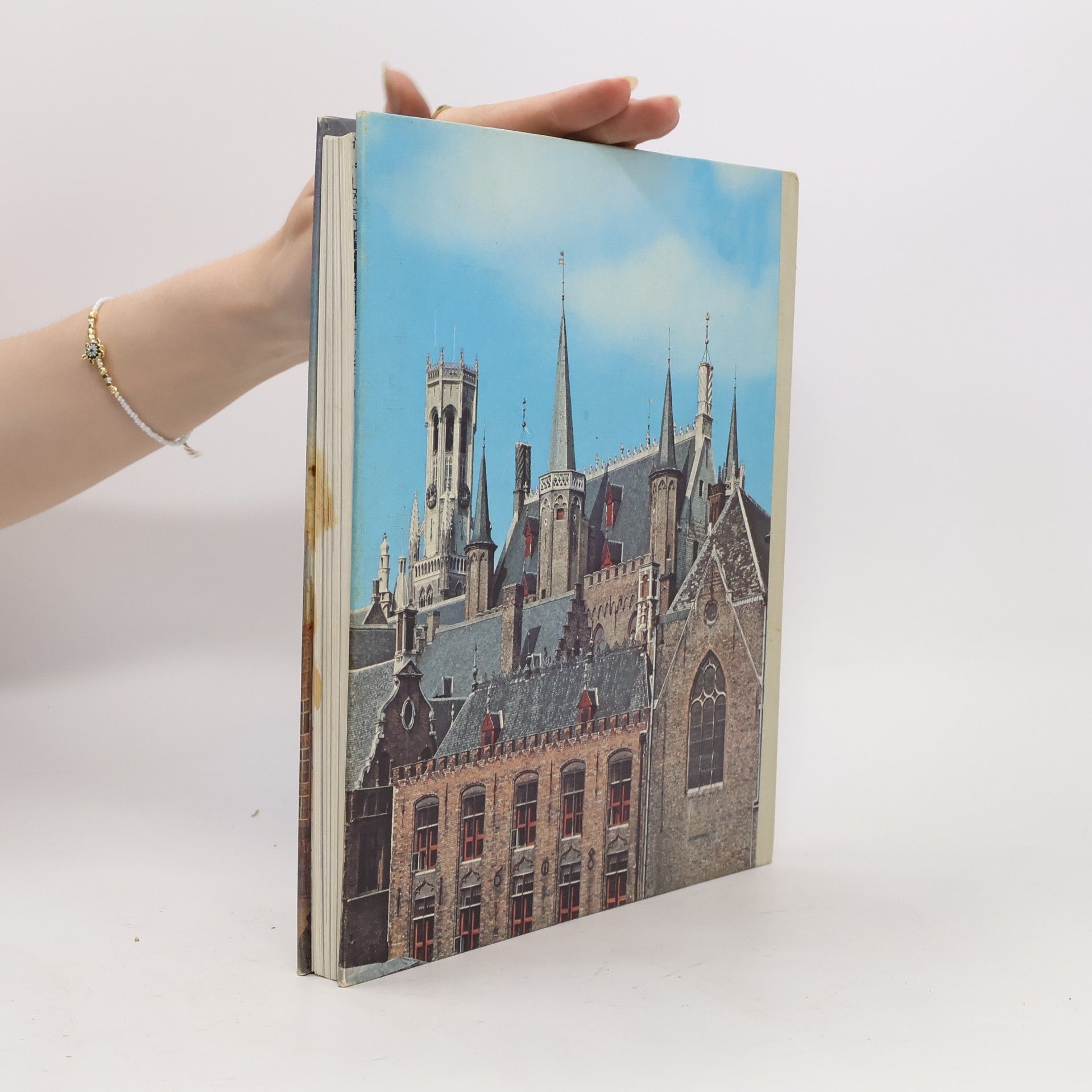 Andries van den Abeele Steden van België. Brugge