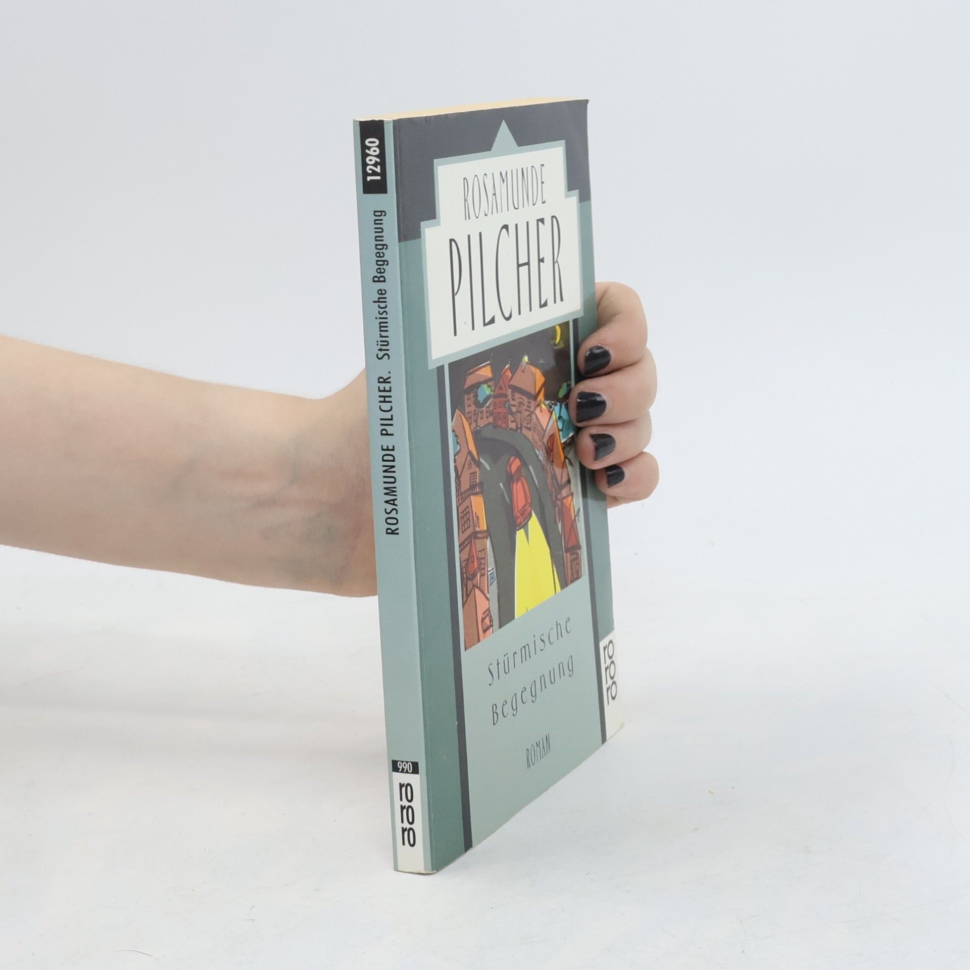 Rosamunde Pilcher Stürmische Begegnung