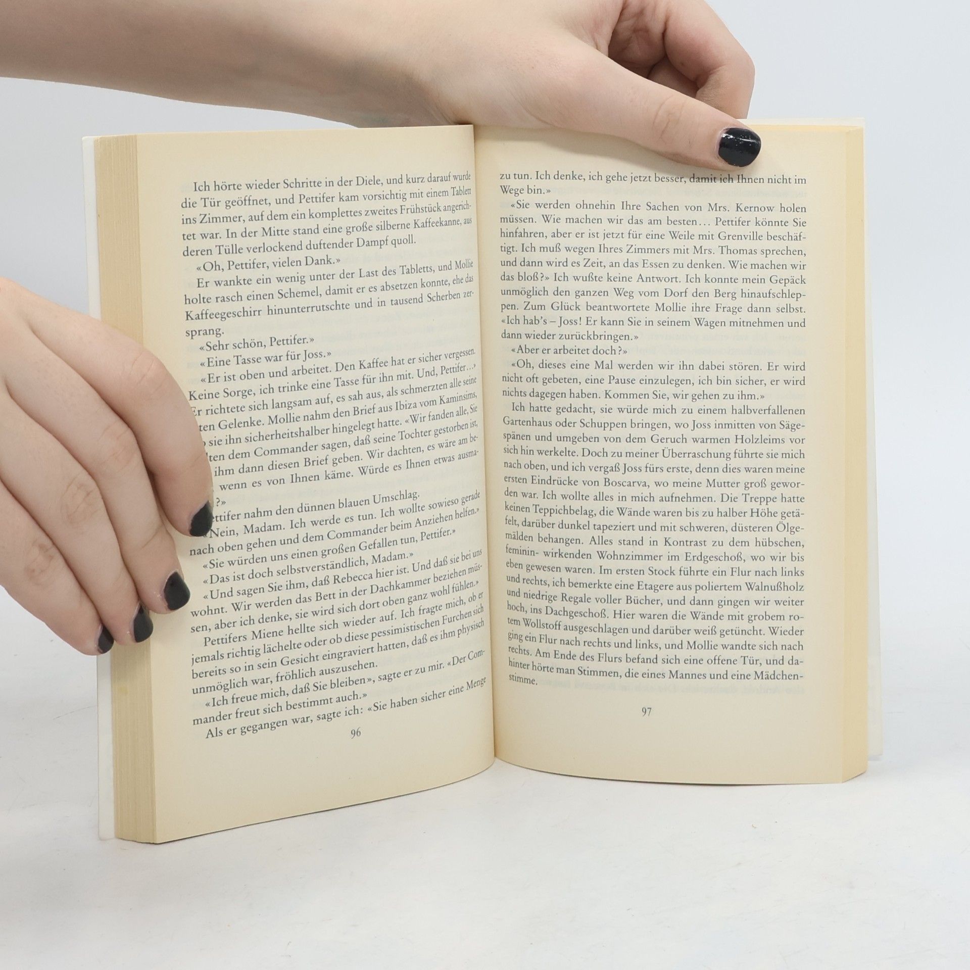 Rosamunde Pilcher Stürmische Begegnung
