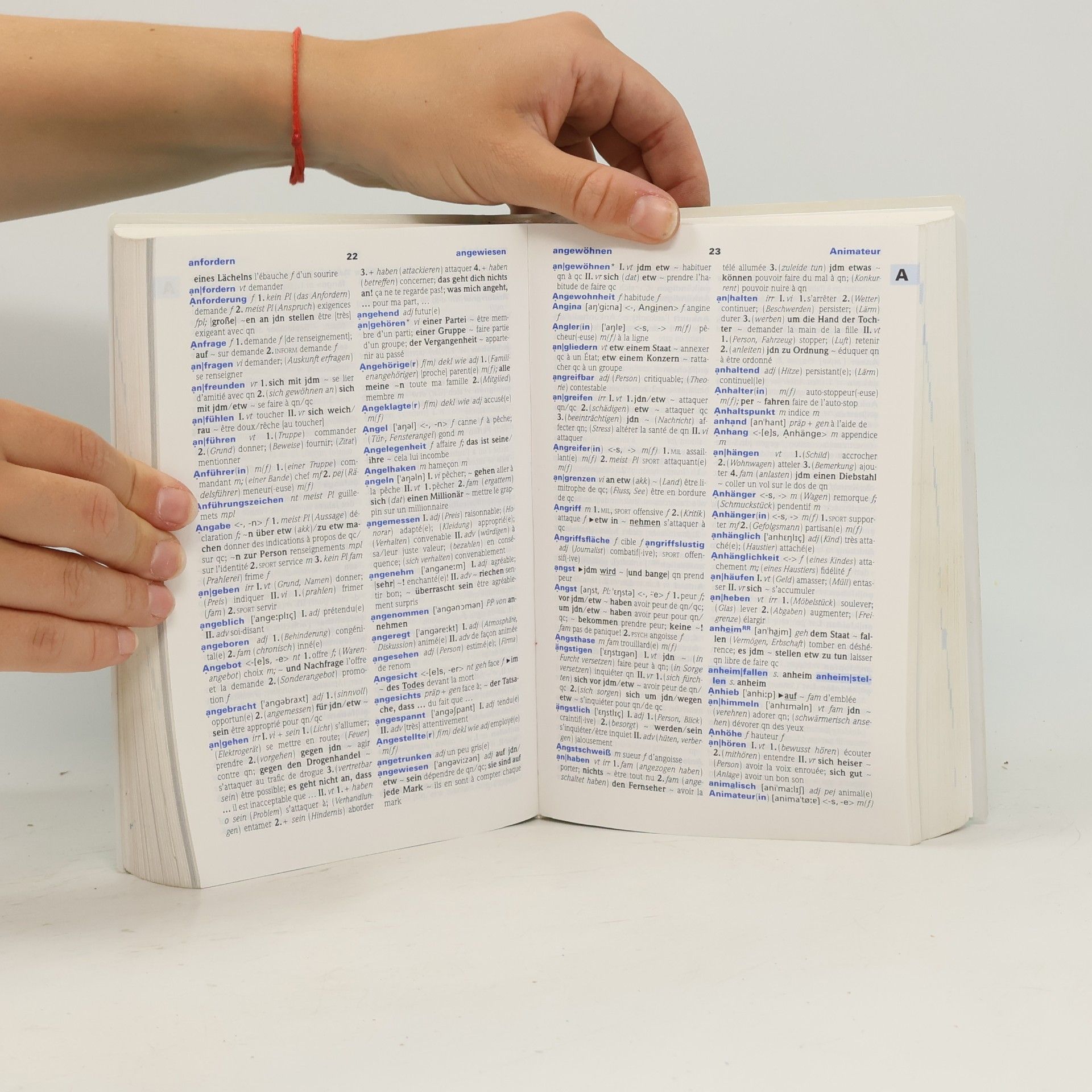 Frédéric Auvrai PONS Standardwörterbuch