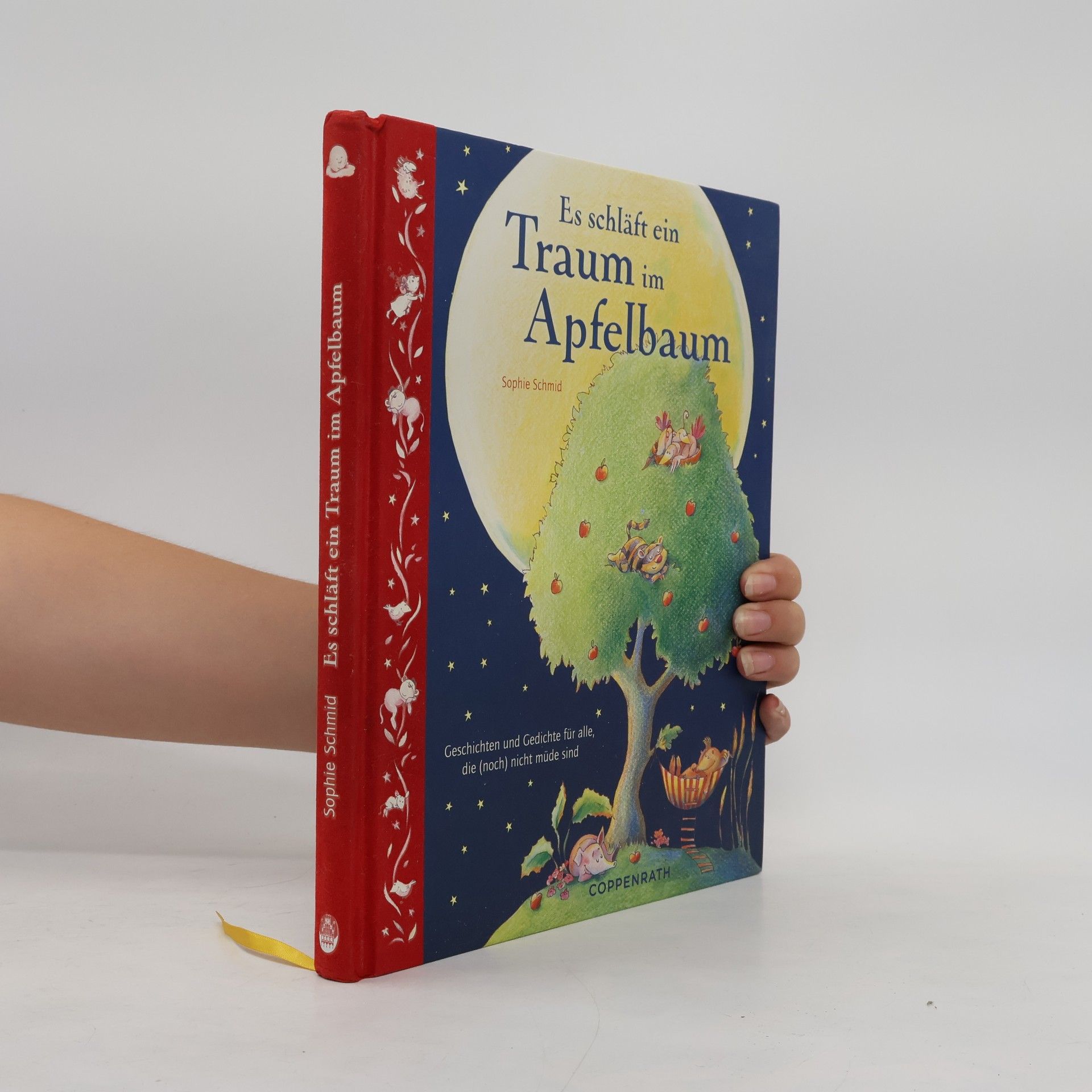 Sophie Schmid Es schläft ein Traum im Apfelbaum