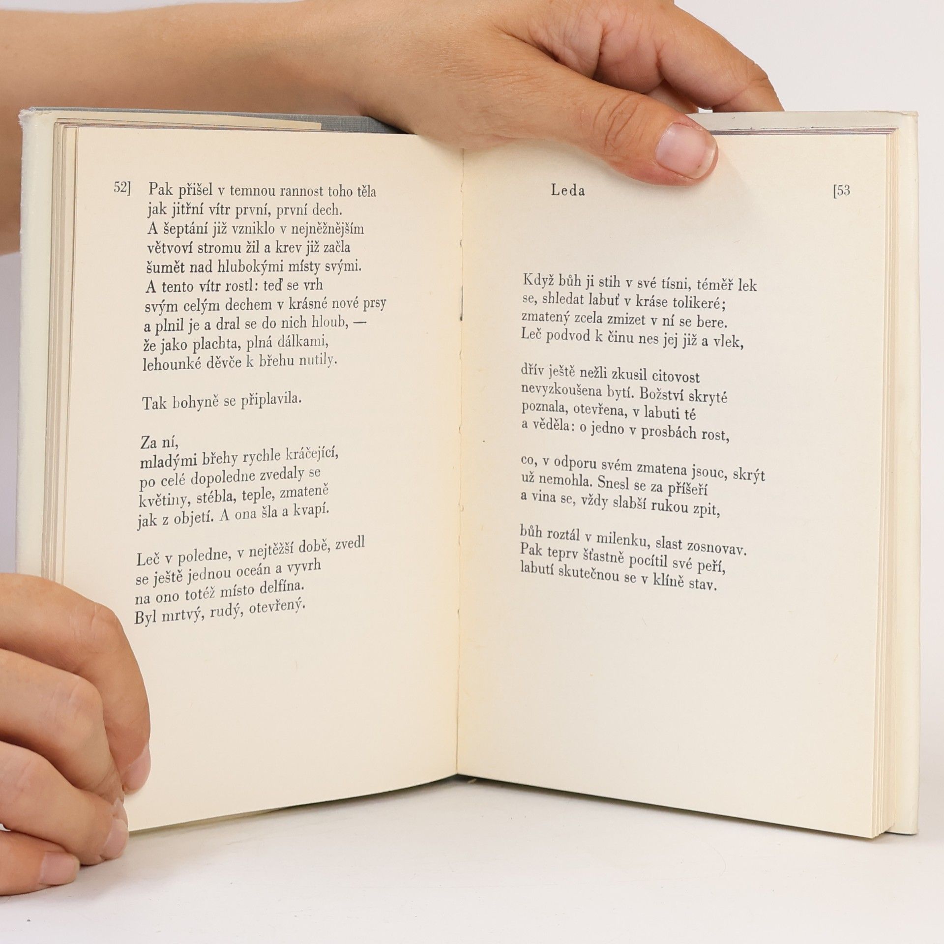 Rainer Maria Rilke Obrazy a elegie