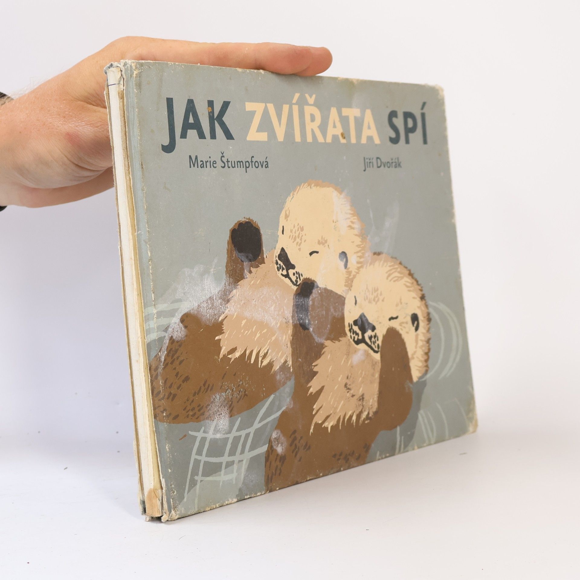 Jiří Dvořák Jak zvířata spí