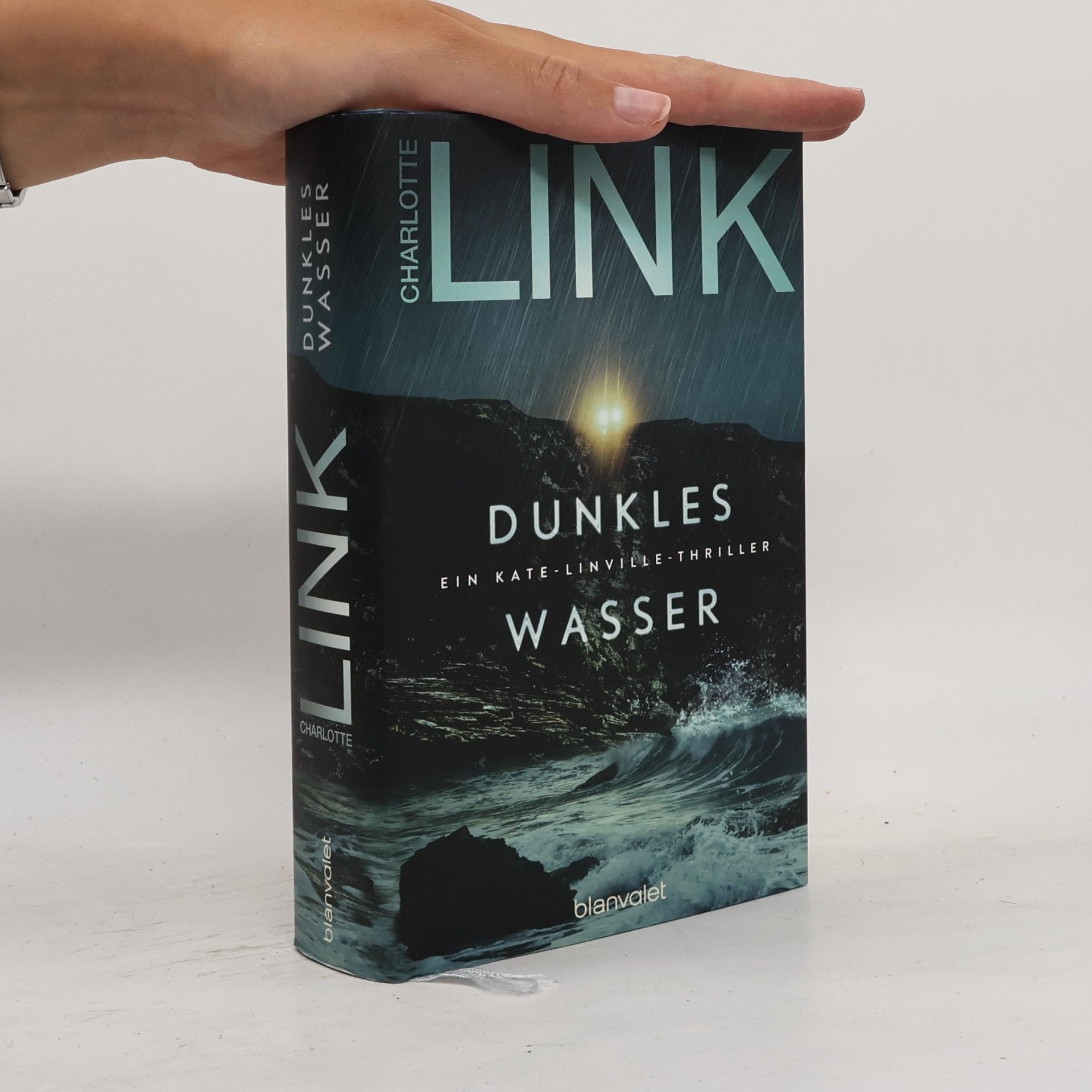 Charlotte Link Dunkles Wasser