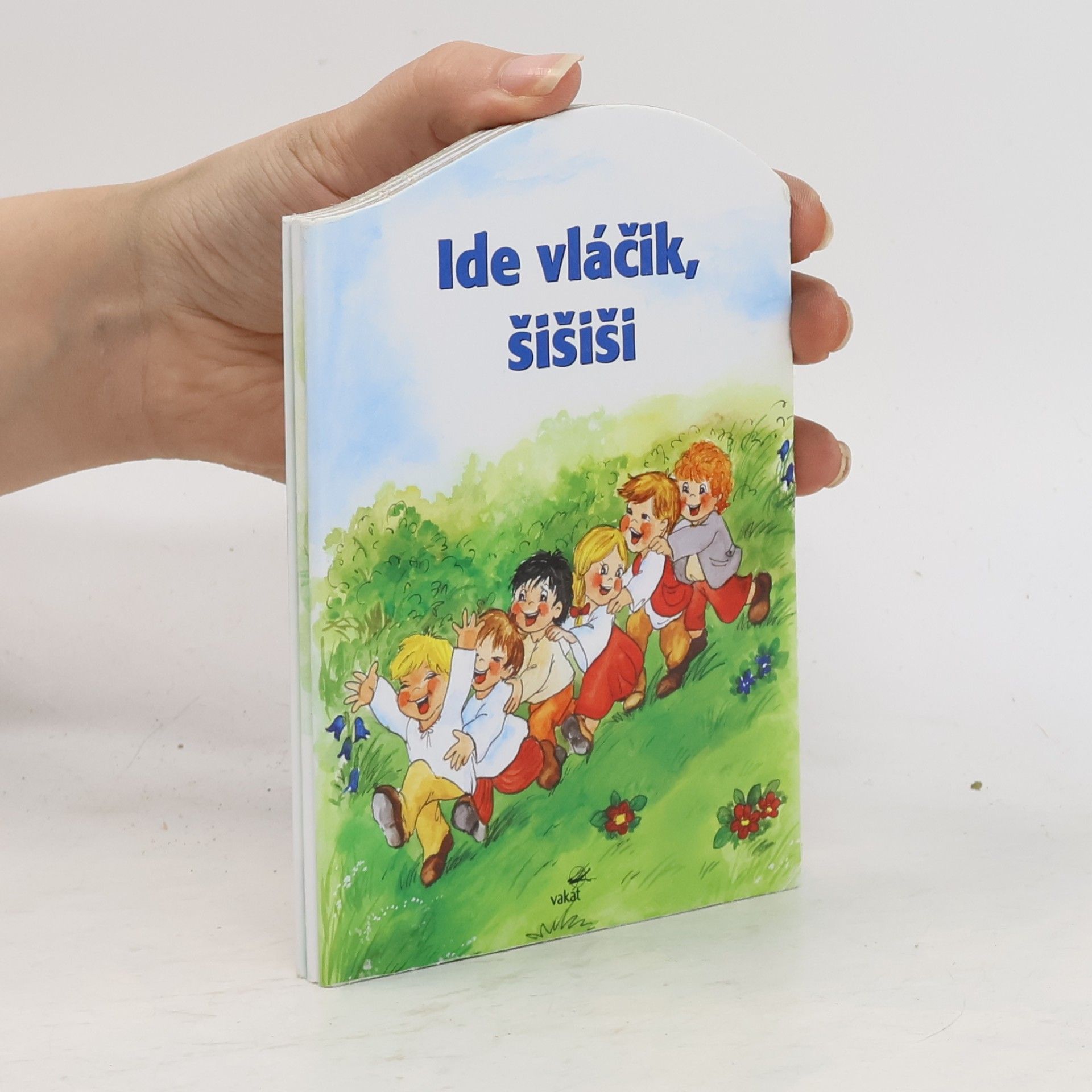 Auteurscollectief Ide vláčik, šišiši