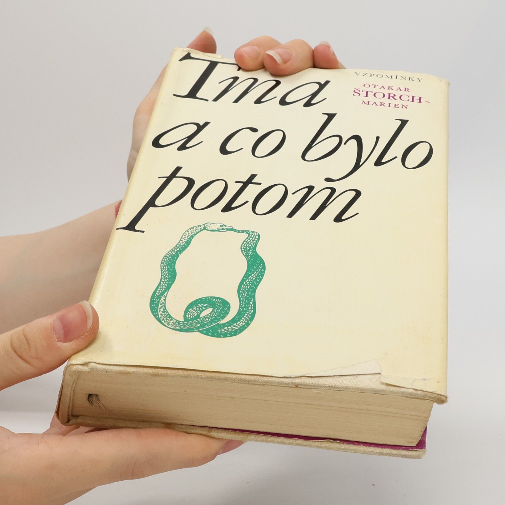Otakar Štorch-Marien Tma a co bylo potom