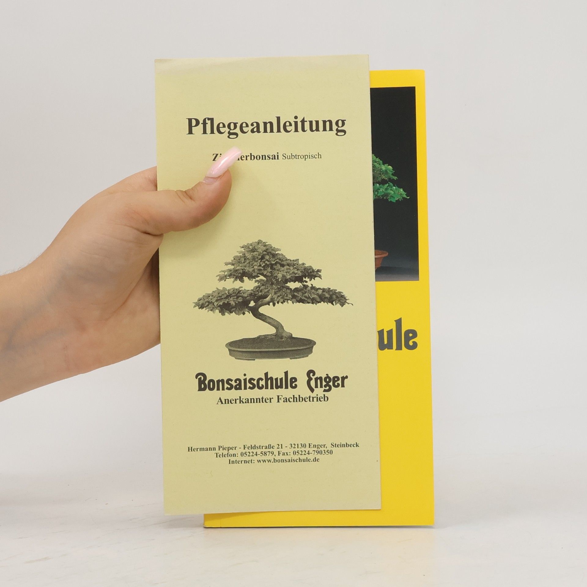 Autorenkollektiv Bonsaischule Enger