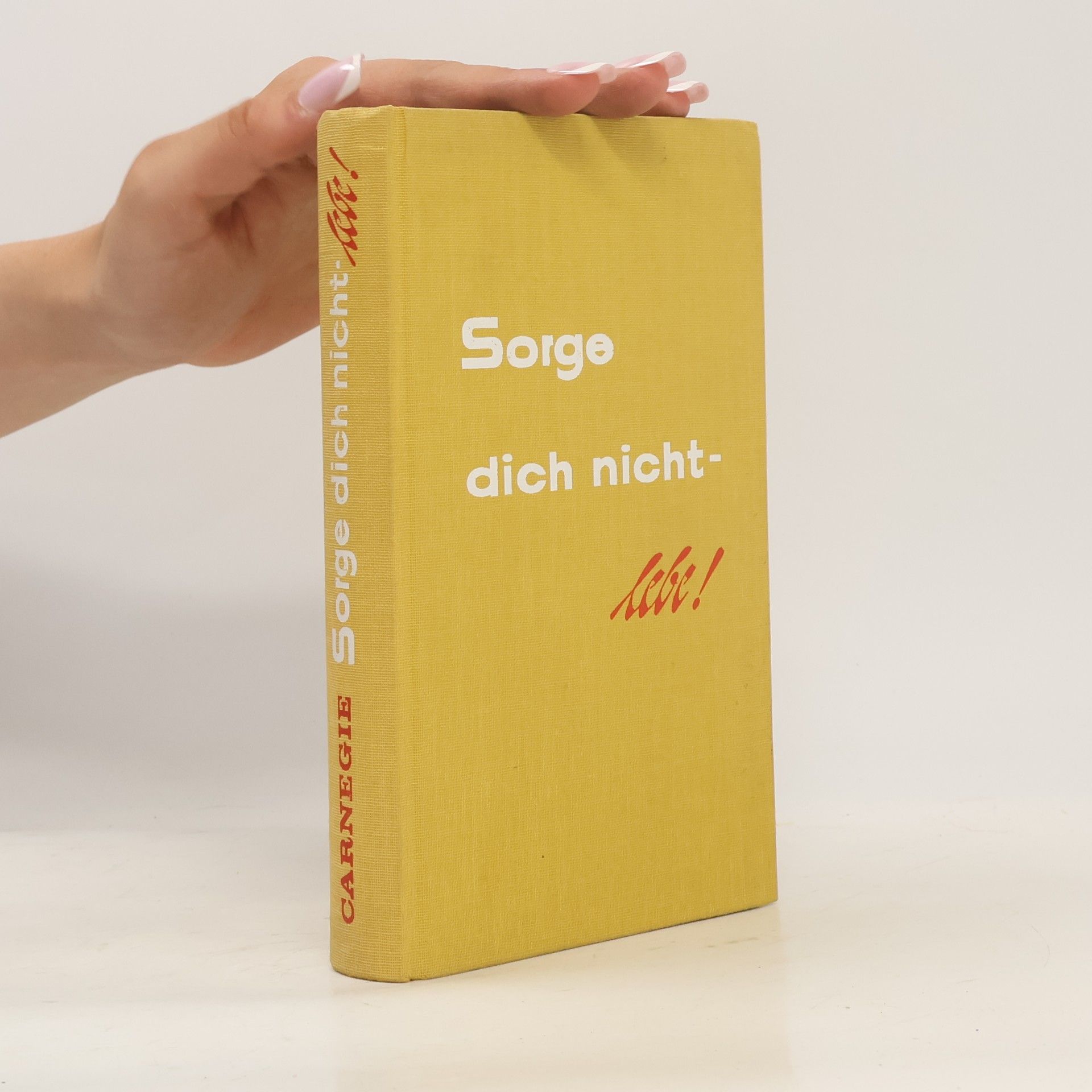 Dale Carnegie Sorge dich nicht - lebe!
