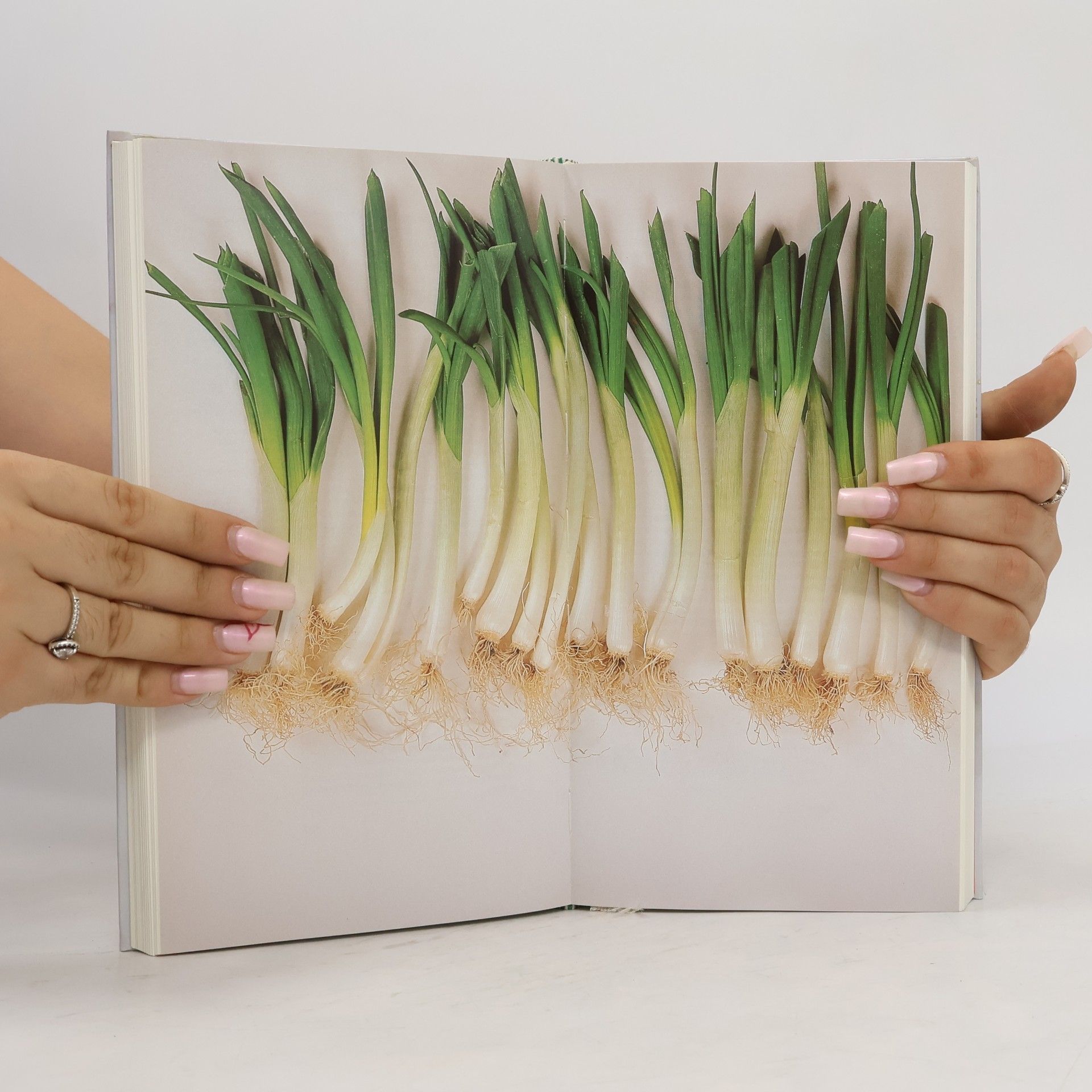 Marianne Kaltenbach Kreativ kochen