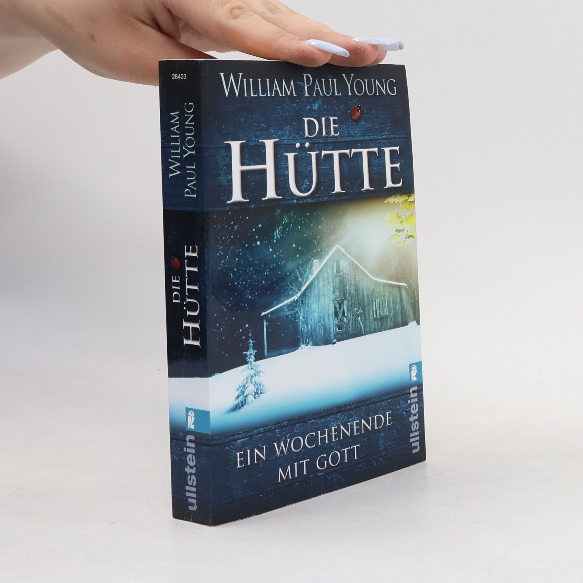 William P. Young Die Hütte