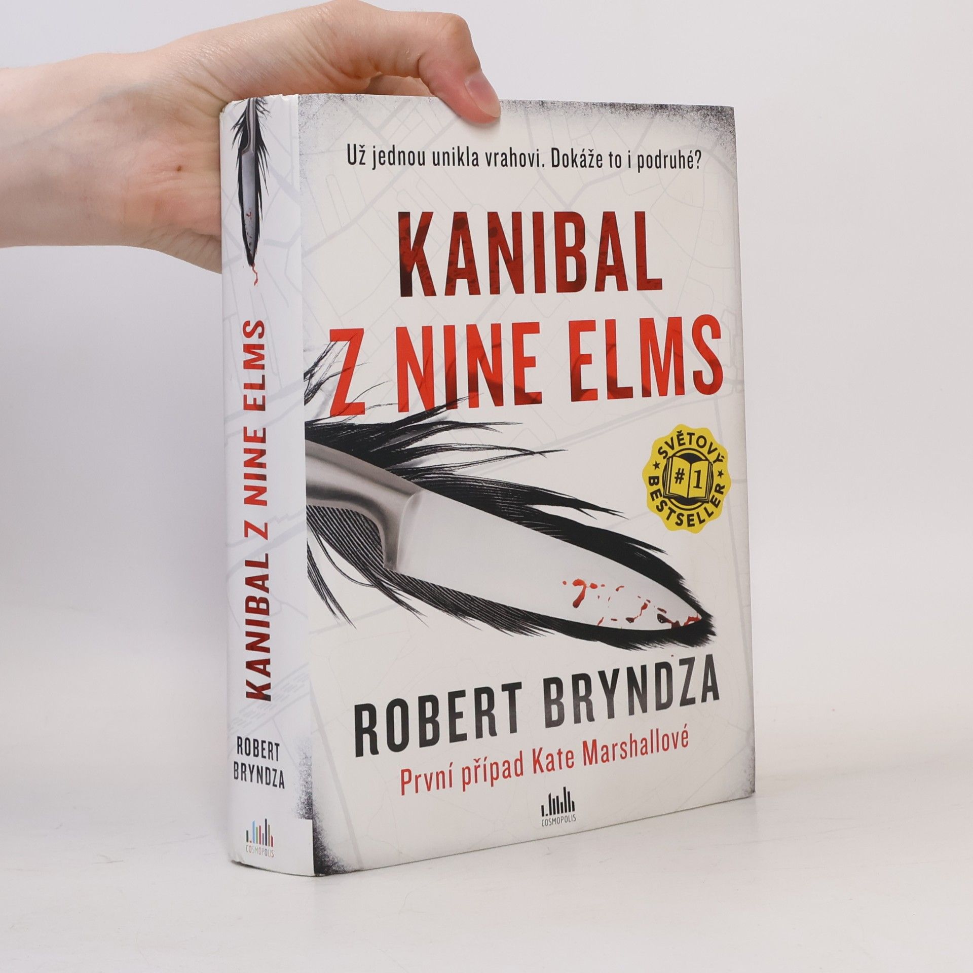 Robert Bryndza Kanibal z Nine Elms