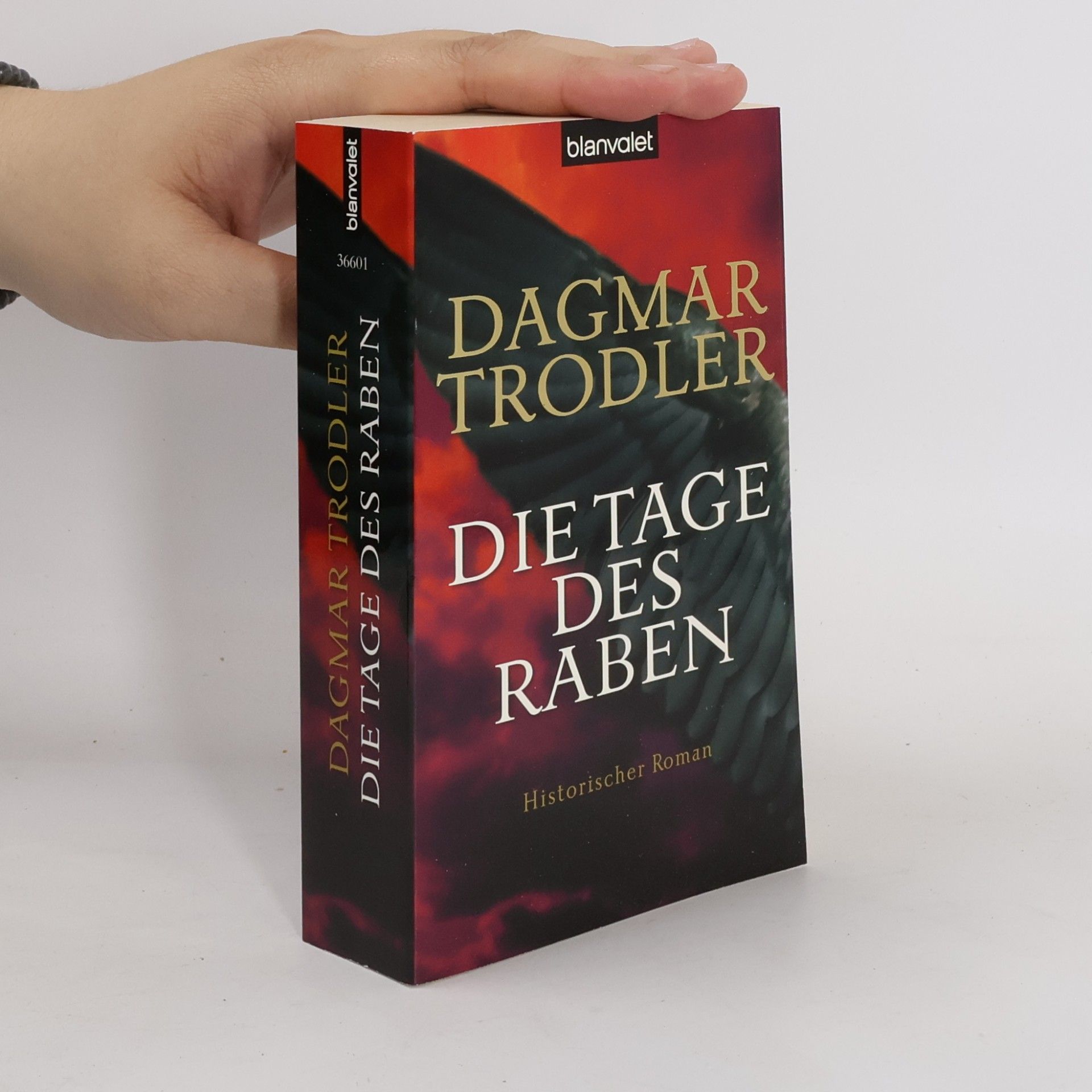 Dagmar Trodler Die Tage des Raben