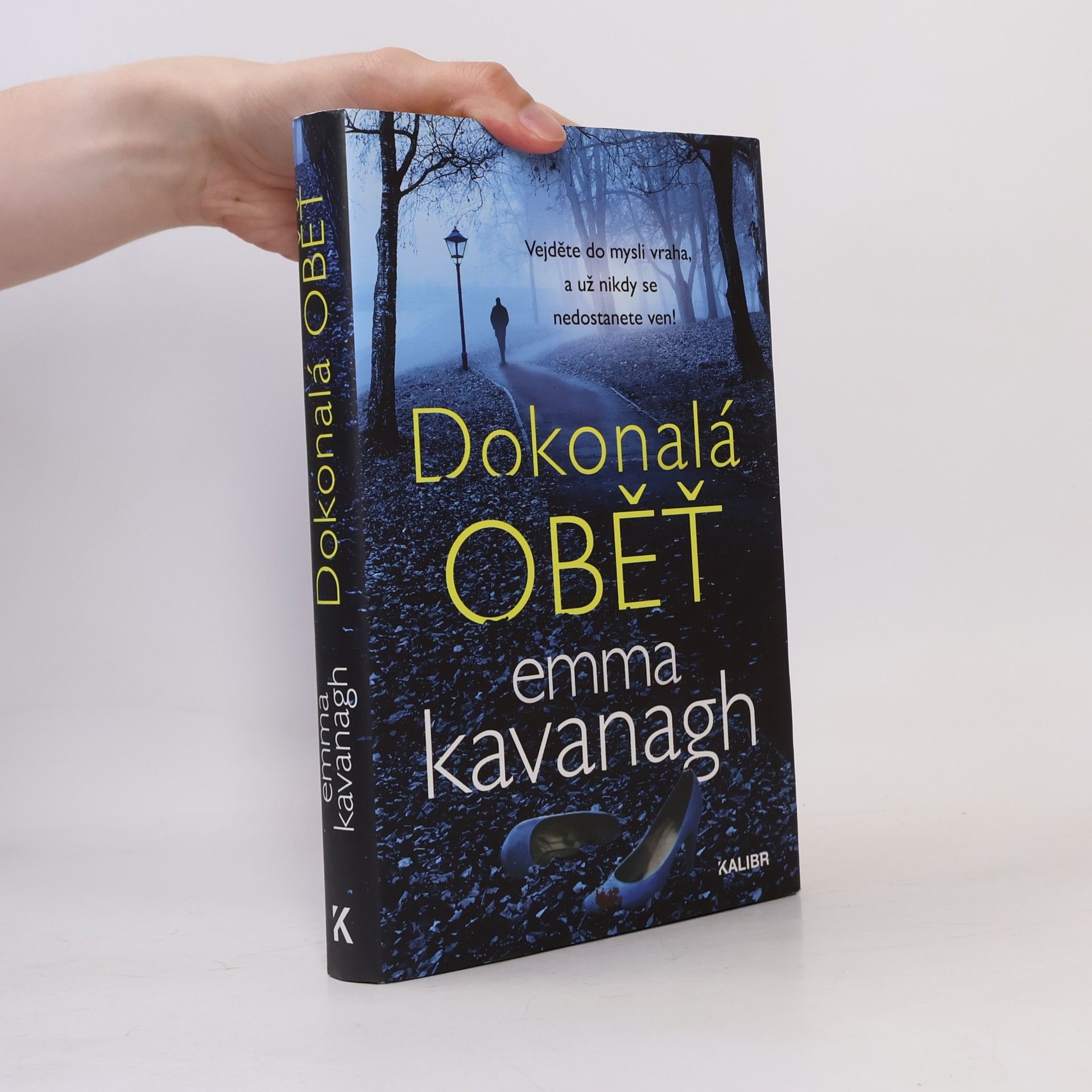 Emma Kavanagh Dokonalá oběť