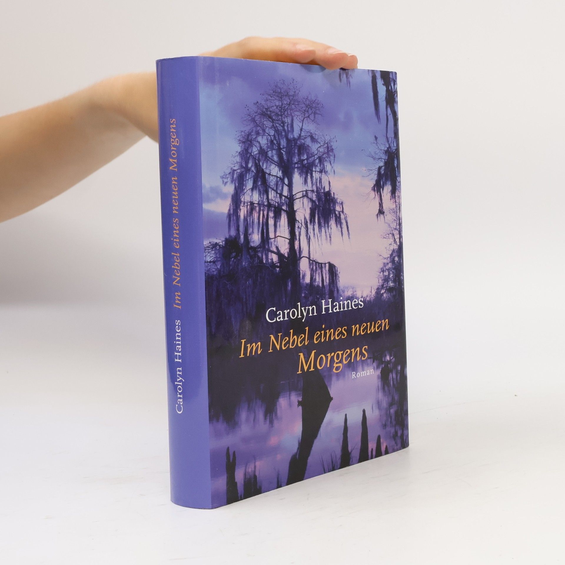 Carolyn Haines Im Nebel eines neuen Morgens