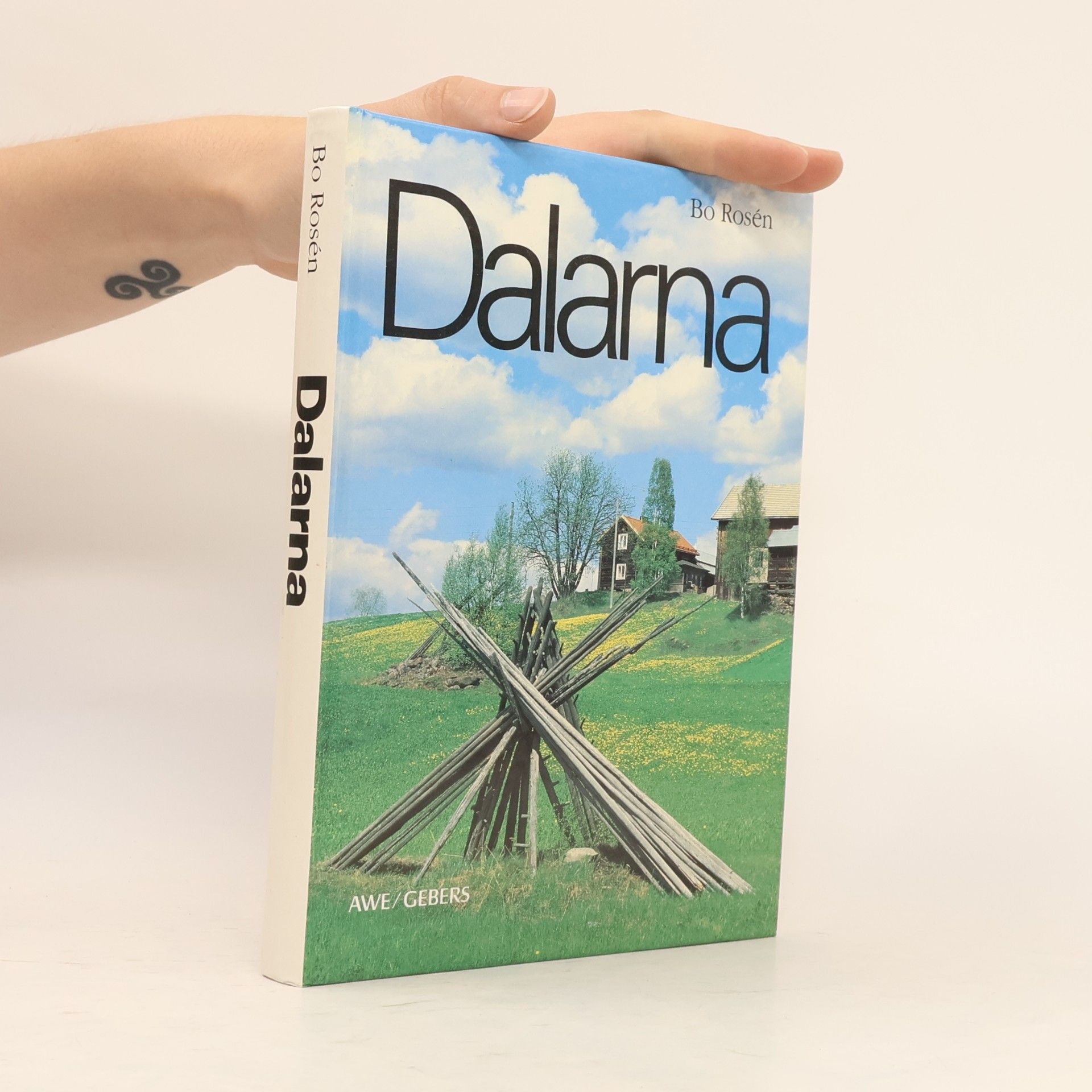 Bo Rosen Dalarna