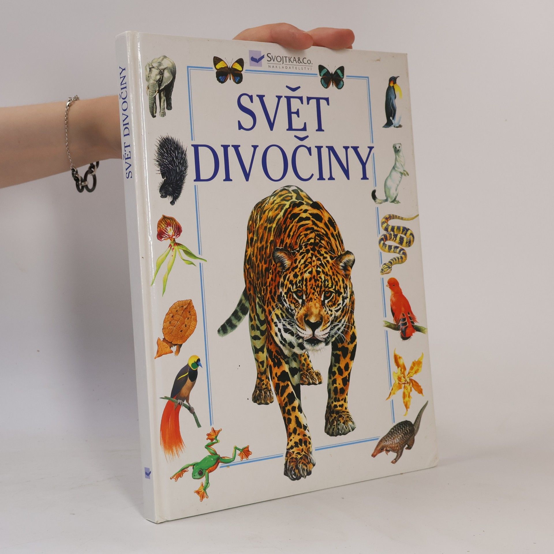 Svět divočiny