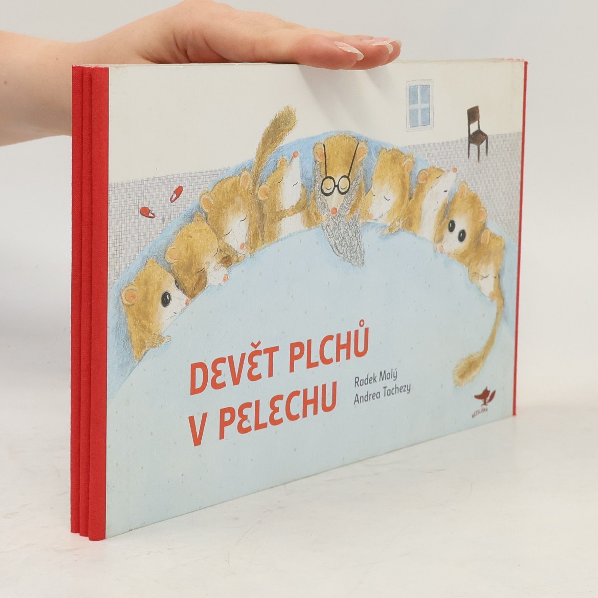 Radek Malý Devět plchů v pelechu