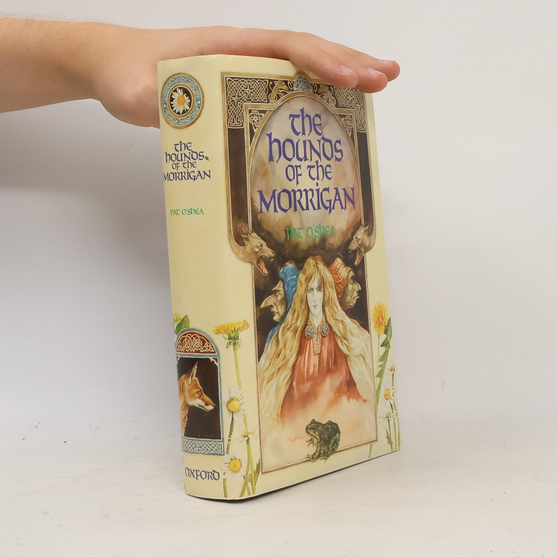 Pat O'Shea The Hounds of the Morrigan