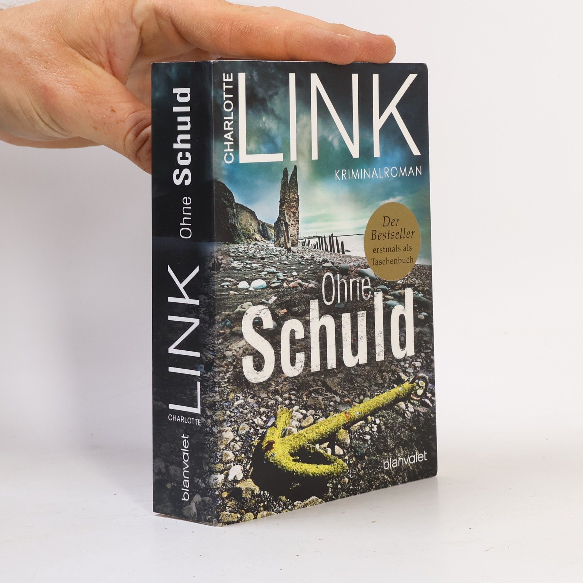 Charlotte Link Ohne Schuld