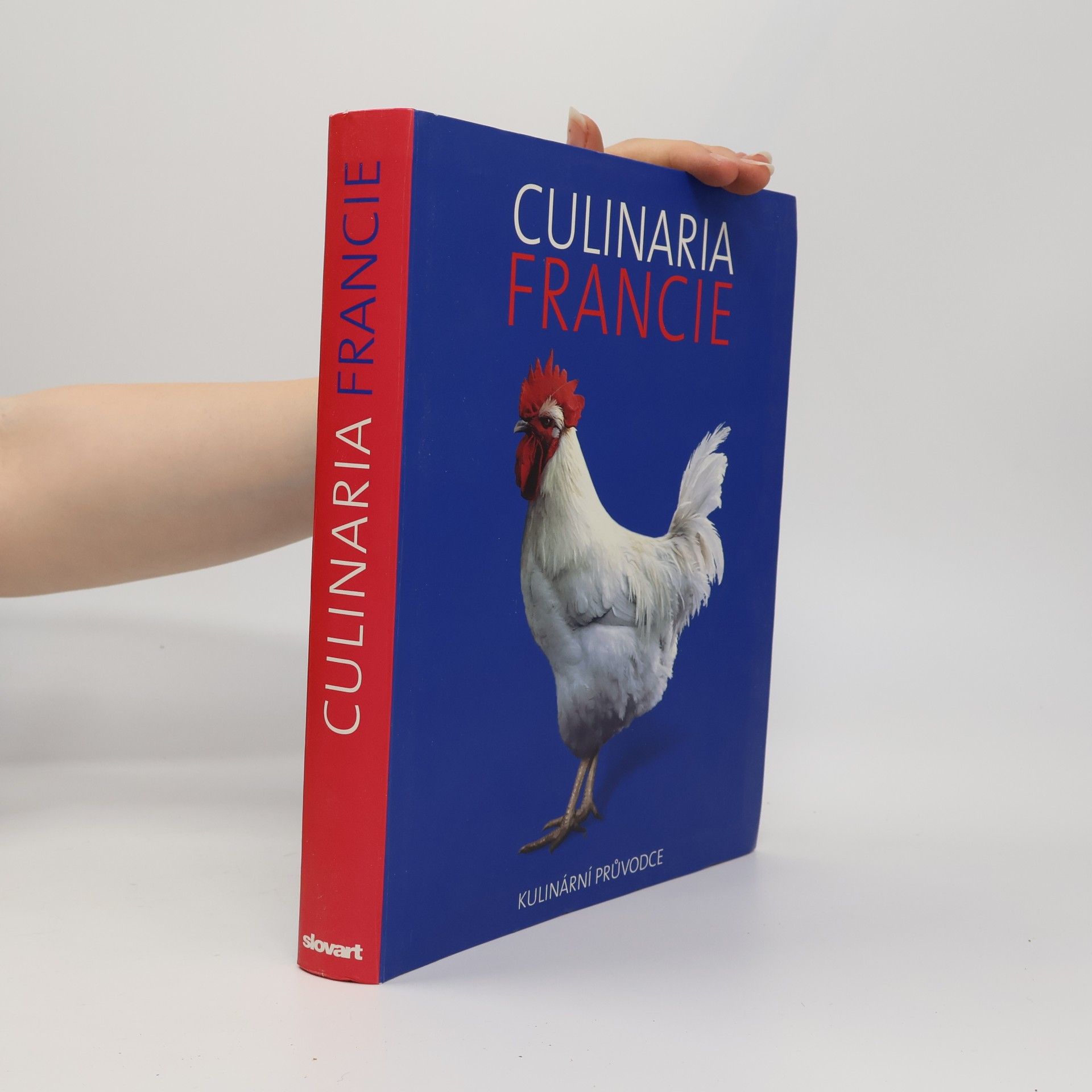 André Dominé Culinaria Francie