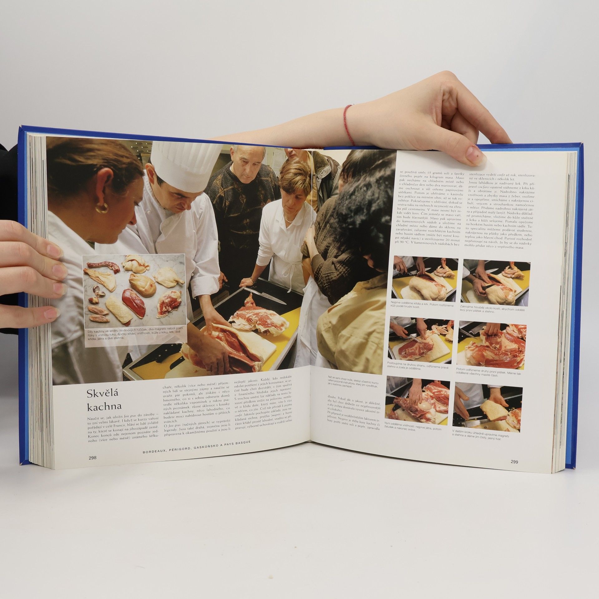 André Dominé Culinaria Francie