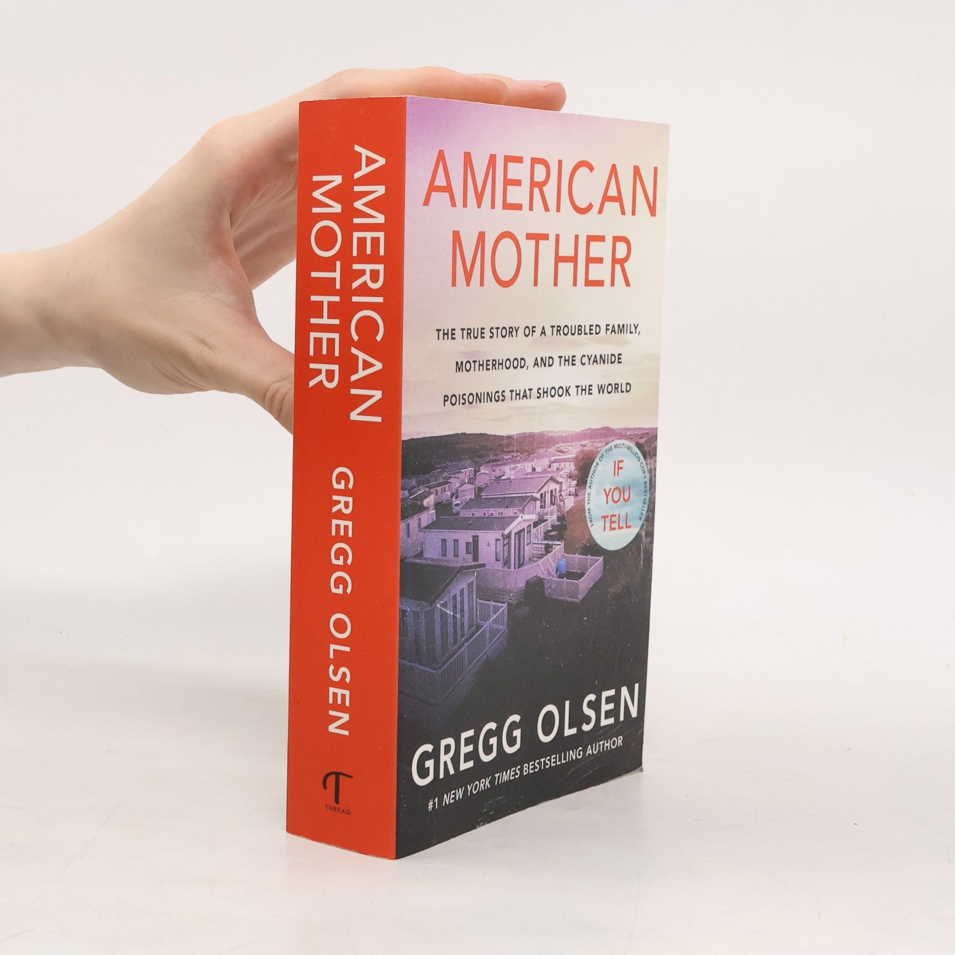 Gregg Olsen American Mother