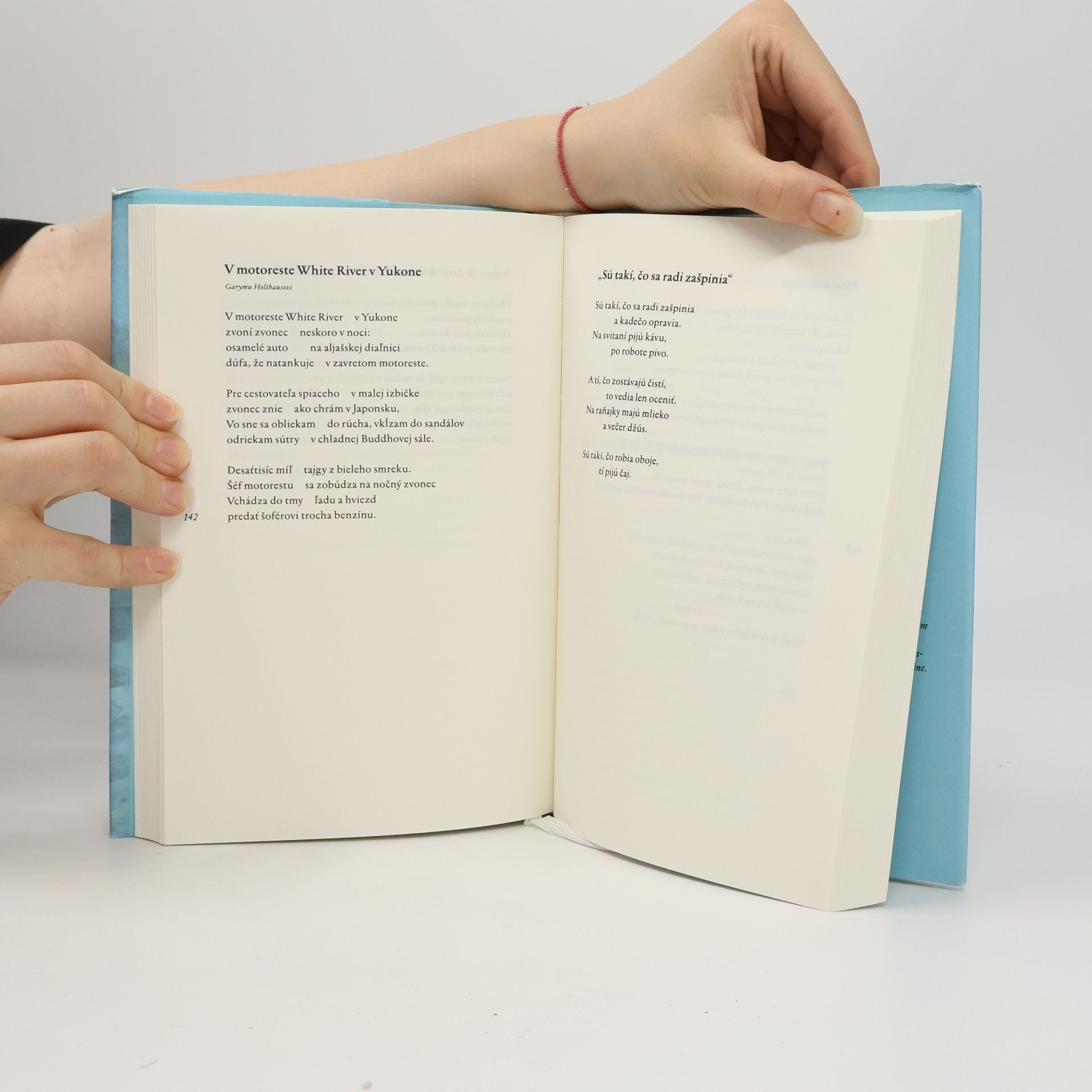 Gary Snyder Stretnutie s horami