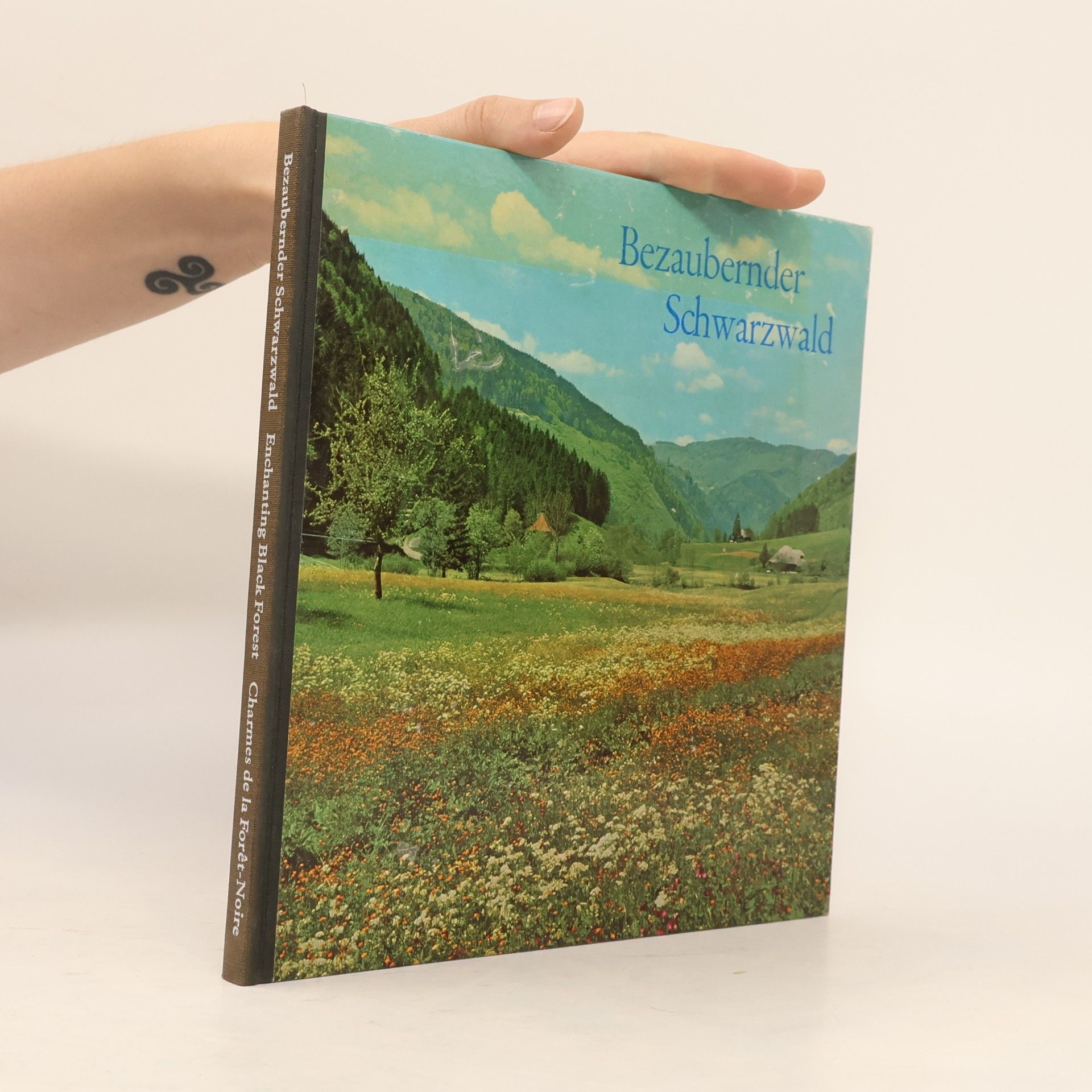 Ruth Rombach Bezaubernder Schwarzwald