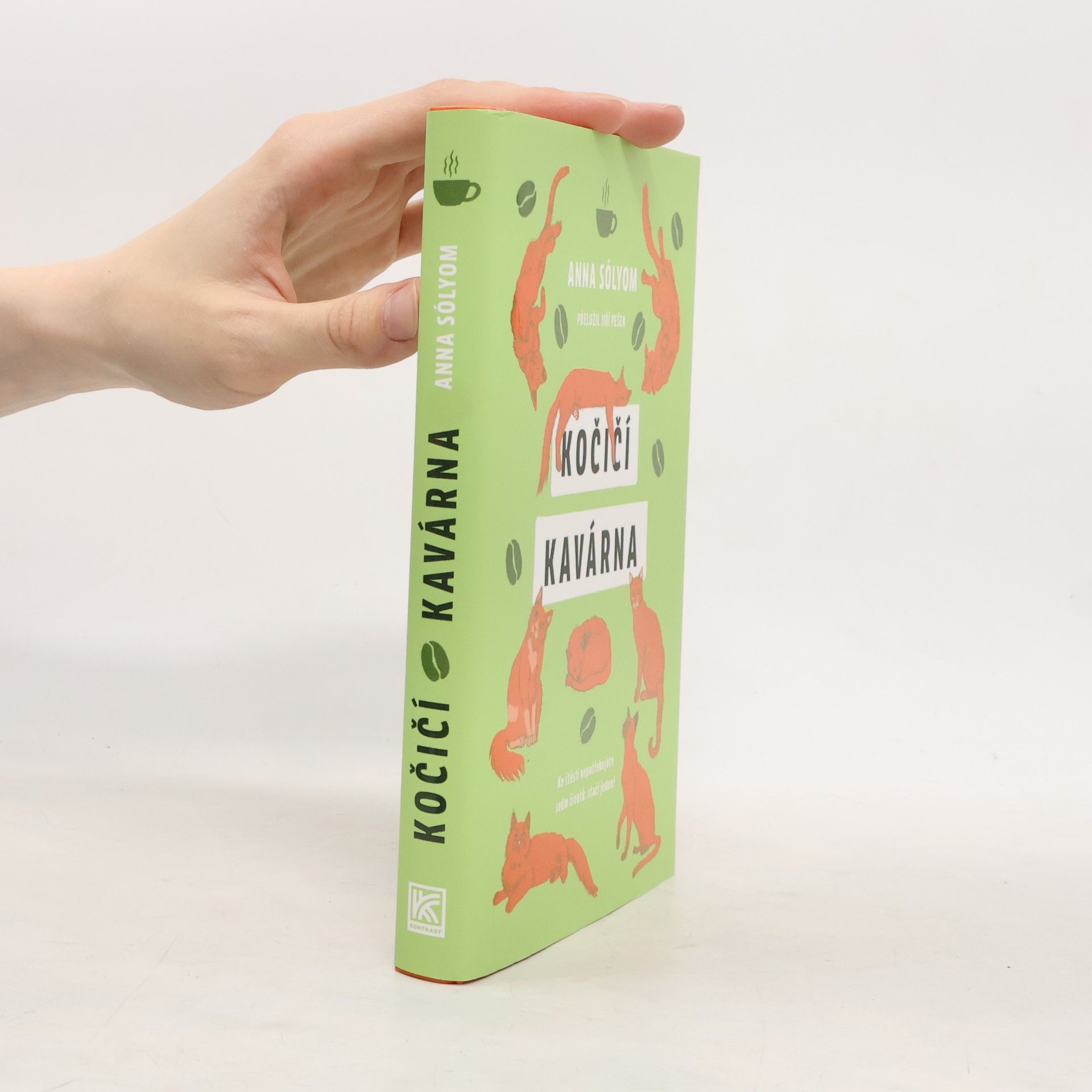 Anna Sólyom Kočičí kavárna