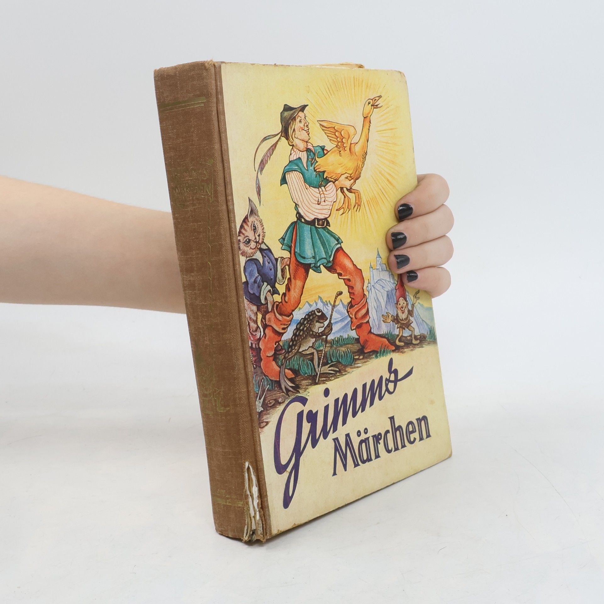 Autorenkollektiv Die schönsten Grimms Märchen