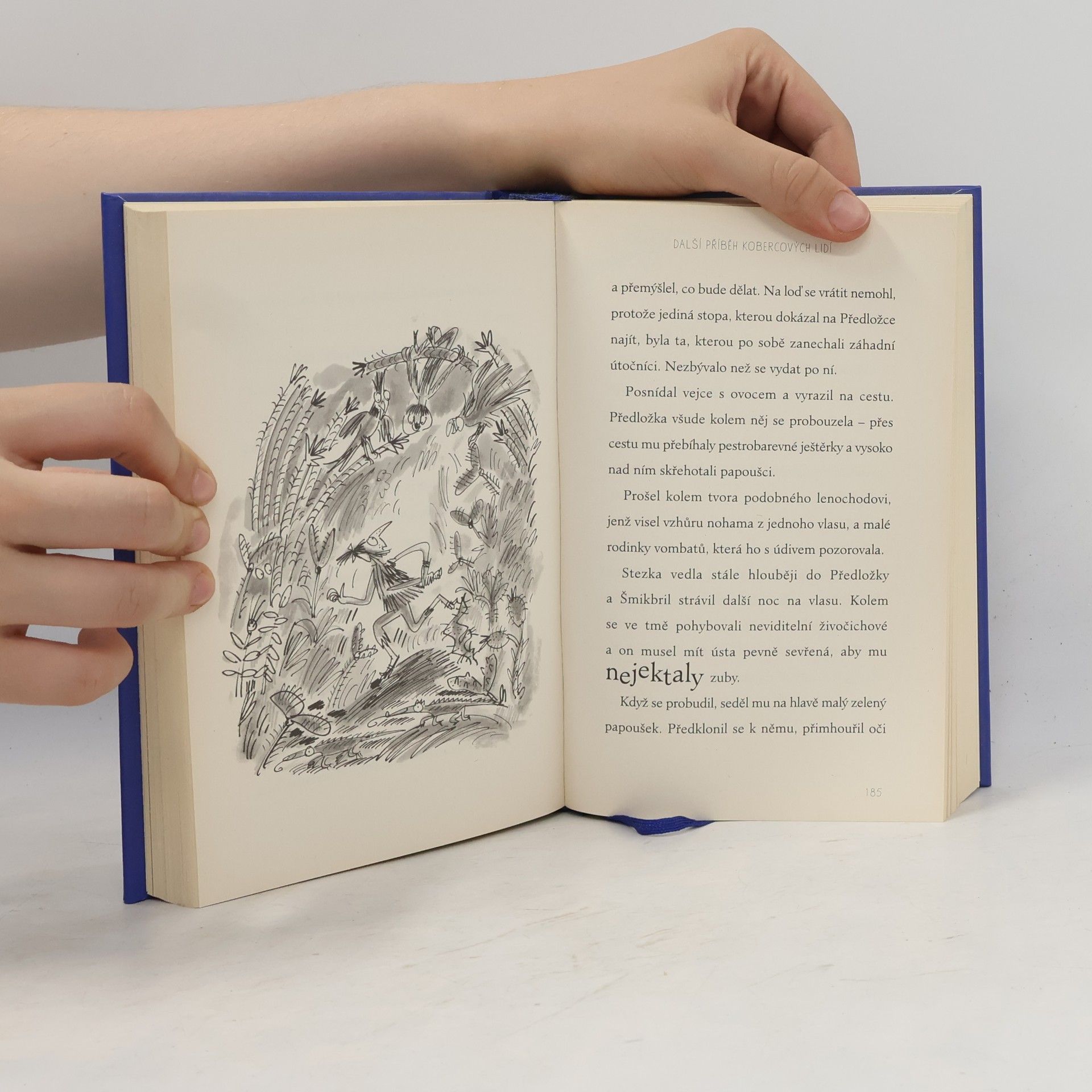 Terry Pratchett Draci na hradě Ruinově