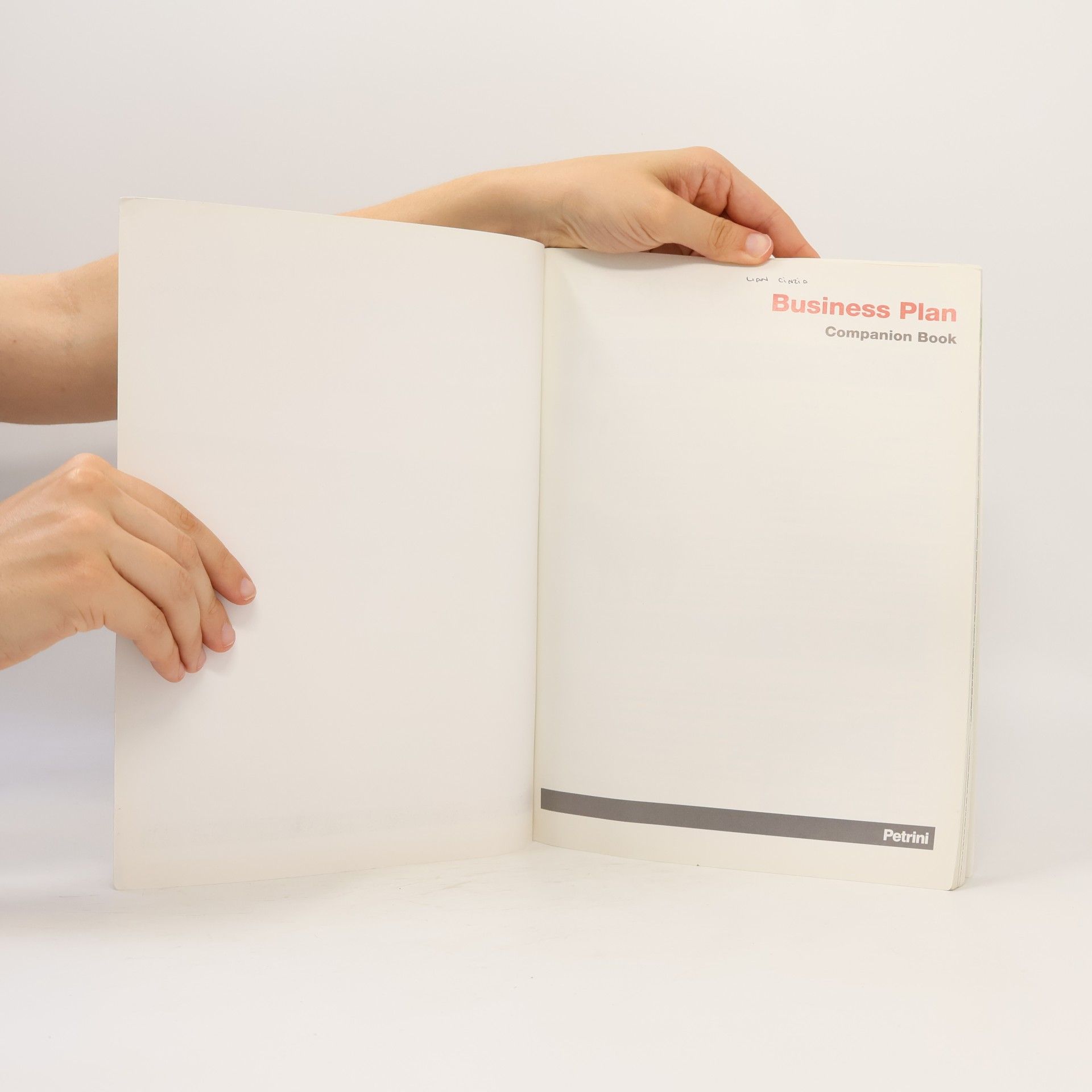 AA.VV. Business Plan. Companion Book
