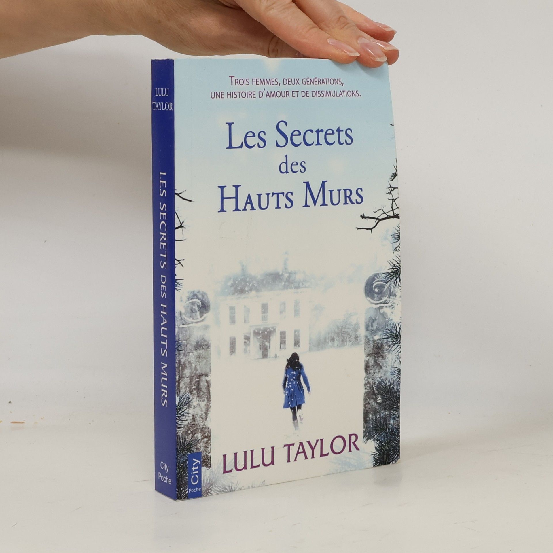Lulu Taylor Les secrets des hauts murs