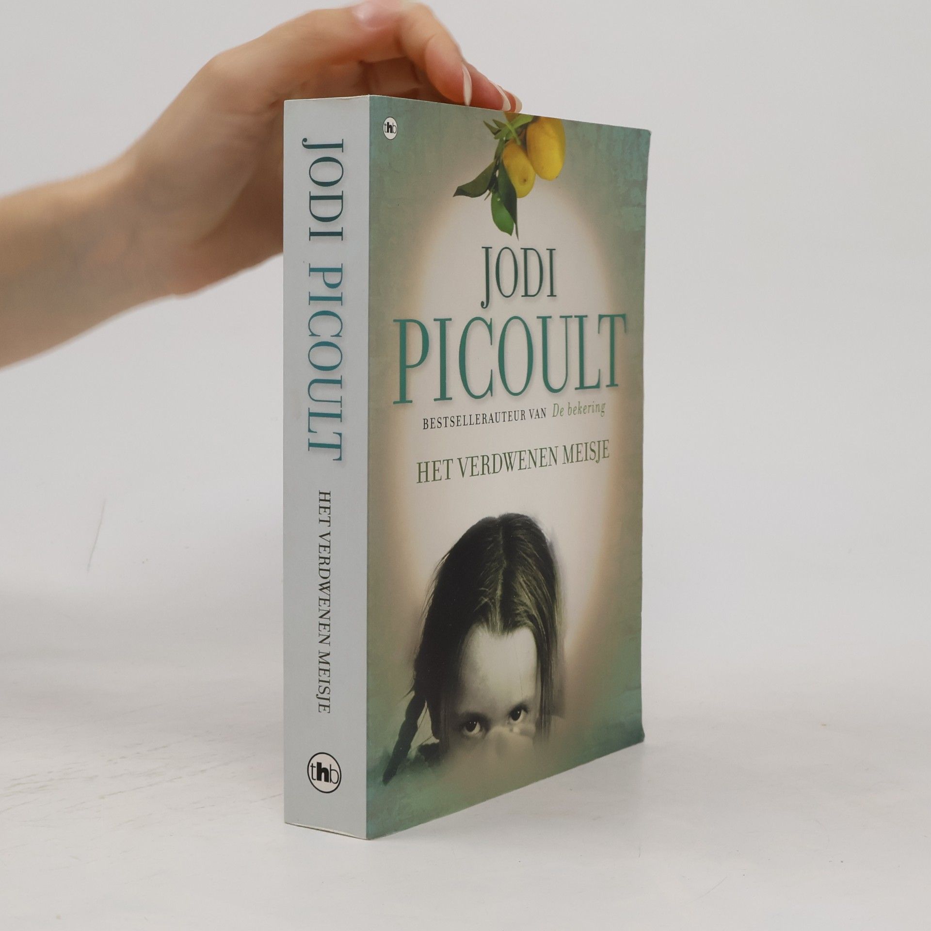 Jodi Picoult Het verdwenen meisje