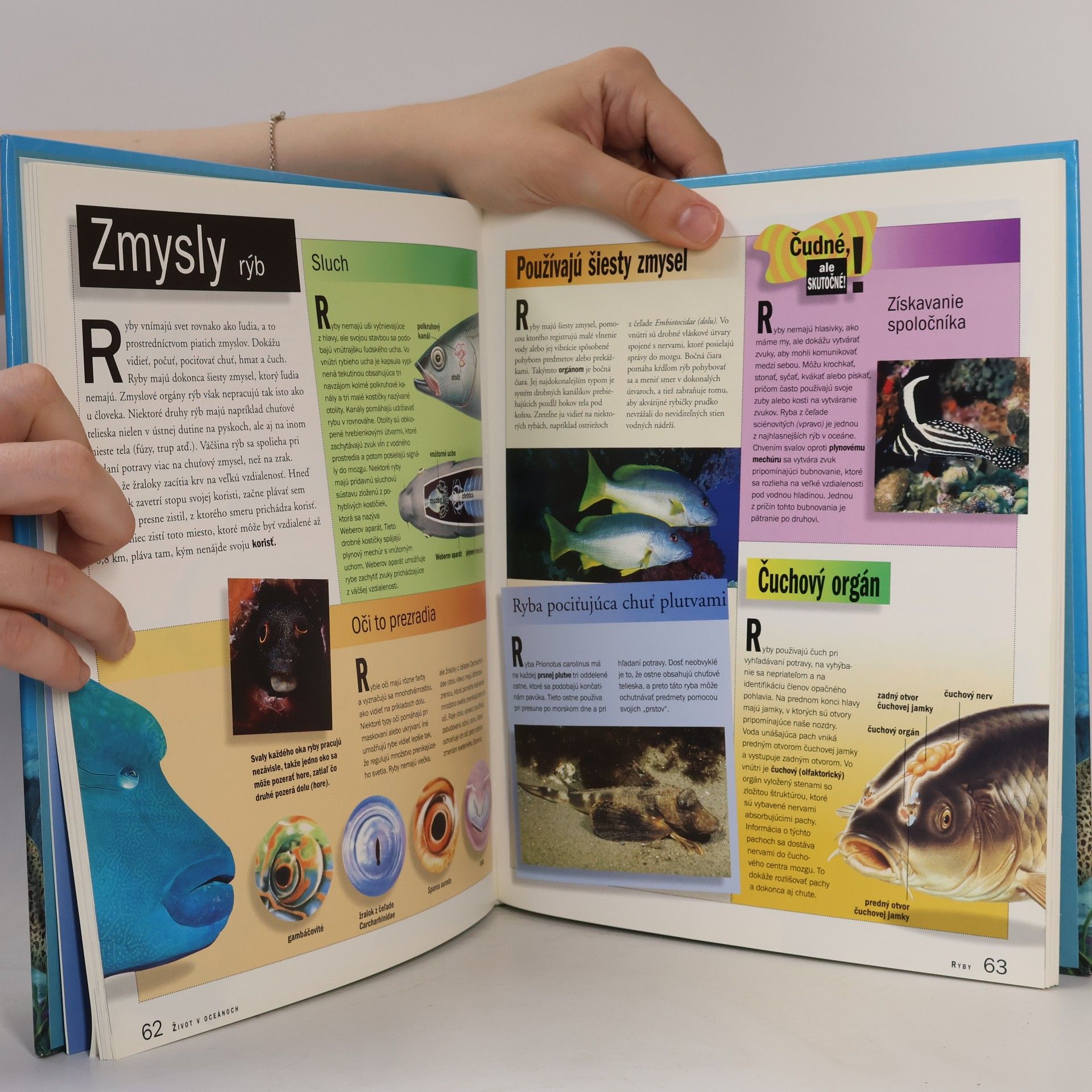 Various authors Život v oceánoch